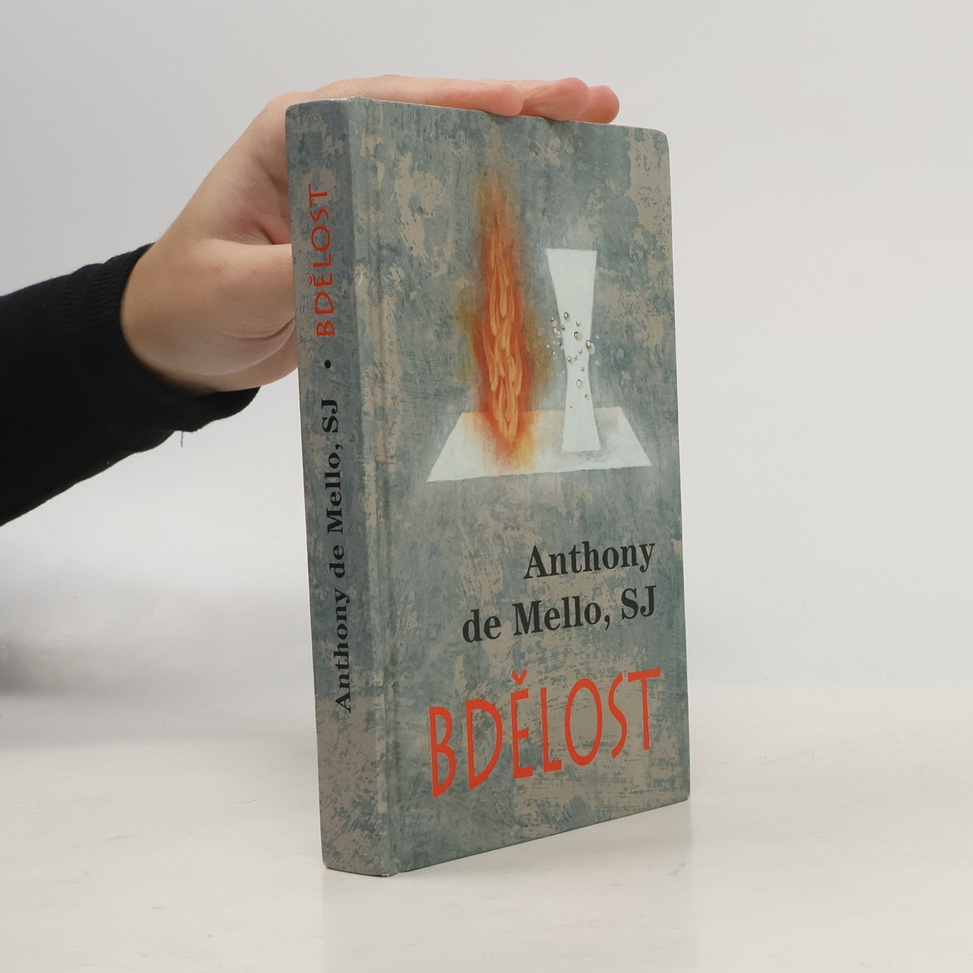 Bdělost