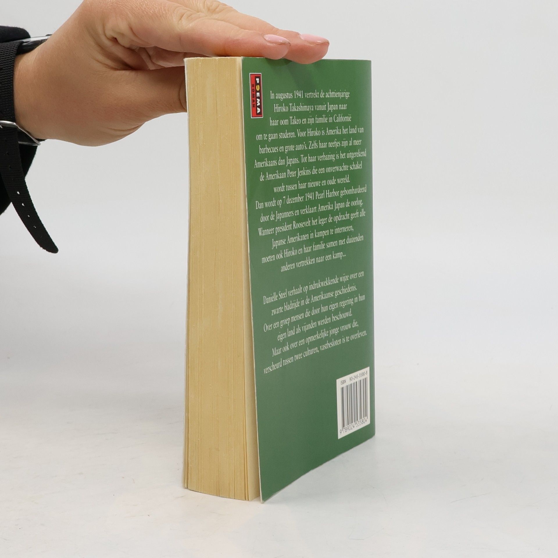 Danielle Steel Poema Pocket: Stille eer
