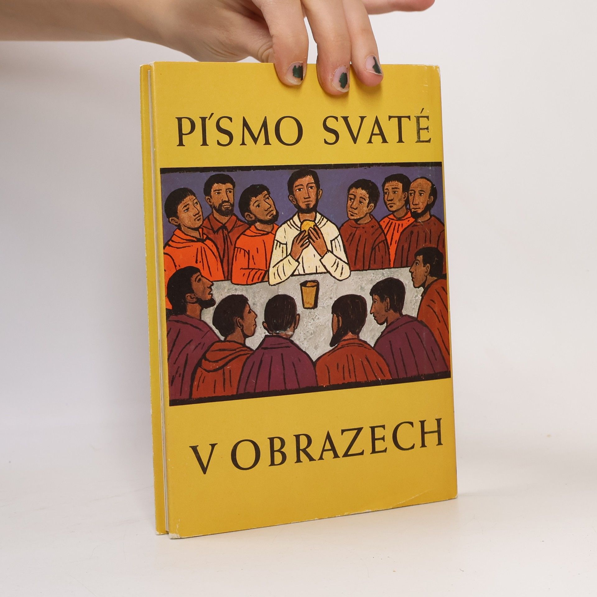 Kolektiv autorů Písmo svaté v obrazech