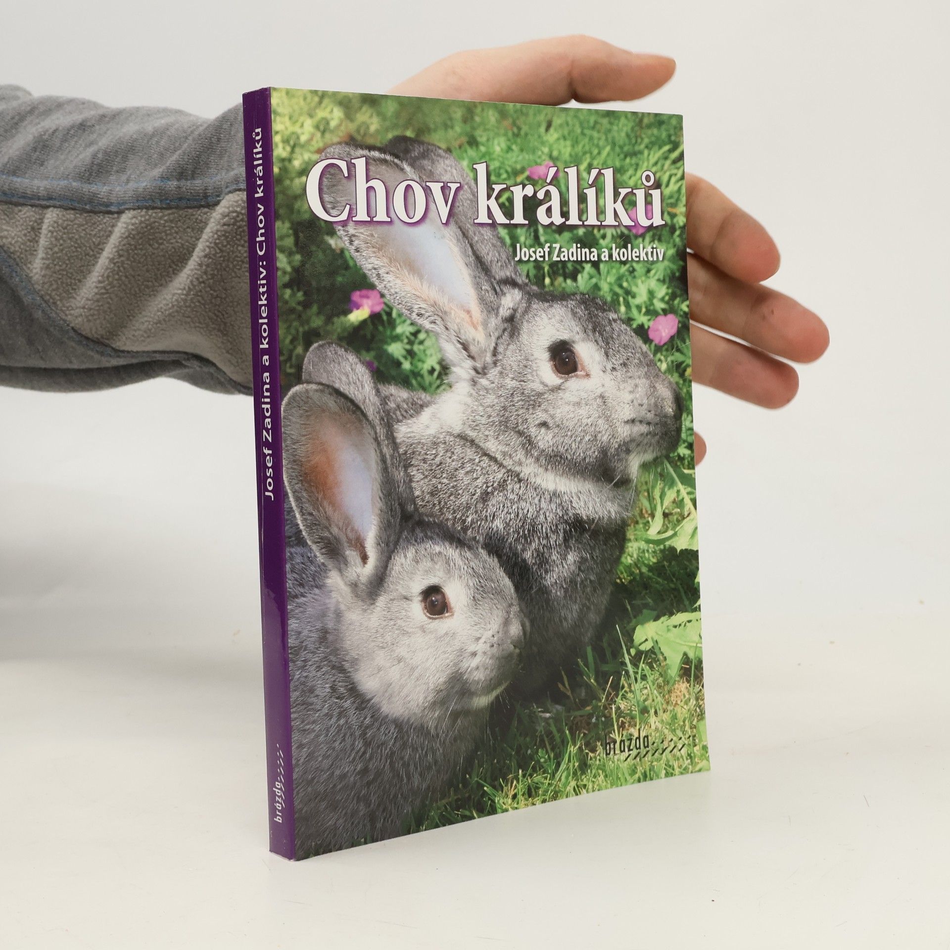 Chov králíků