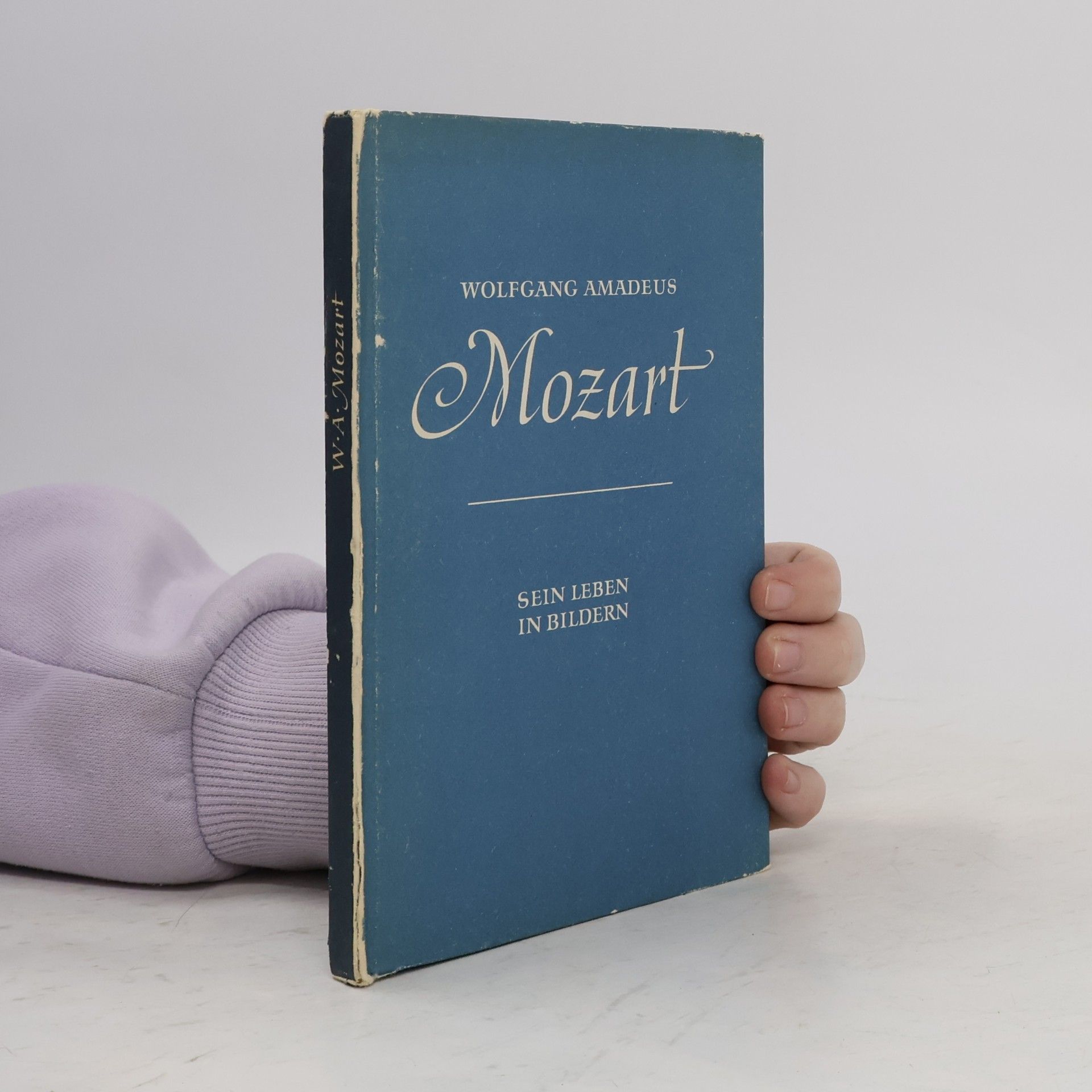 Wolfgang Amadeus Mozart. Sein Leben in Bildern