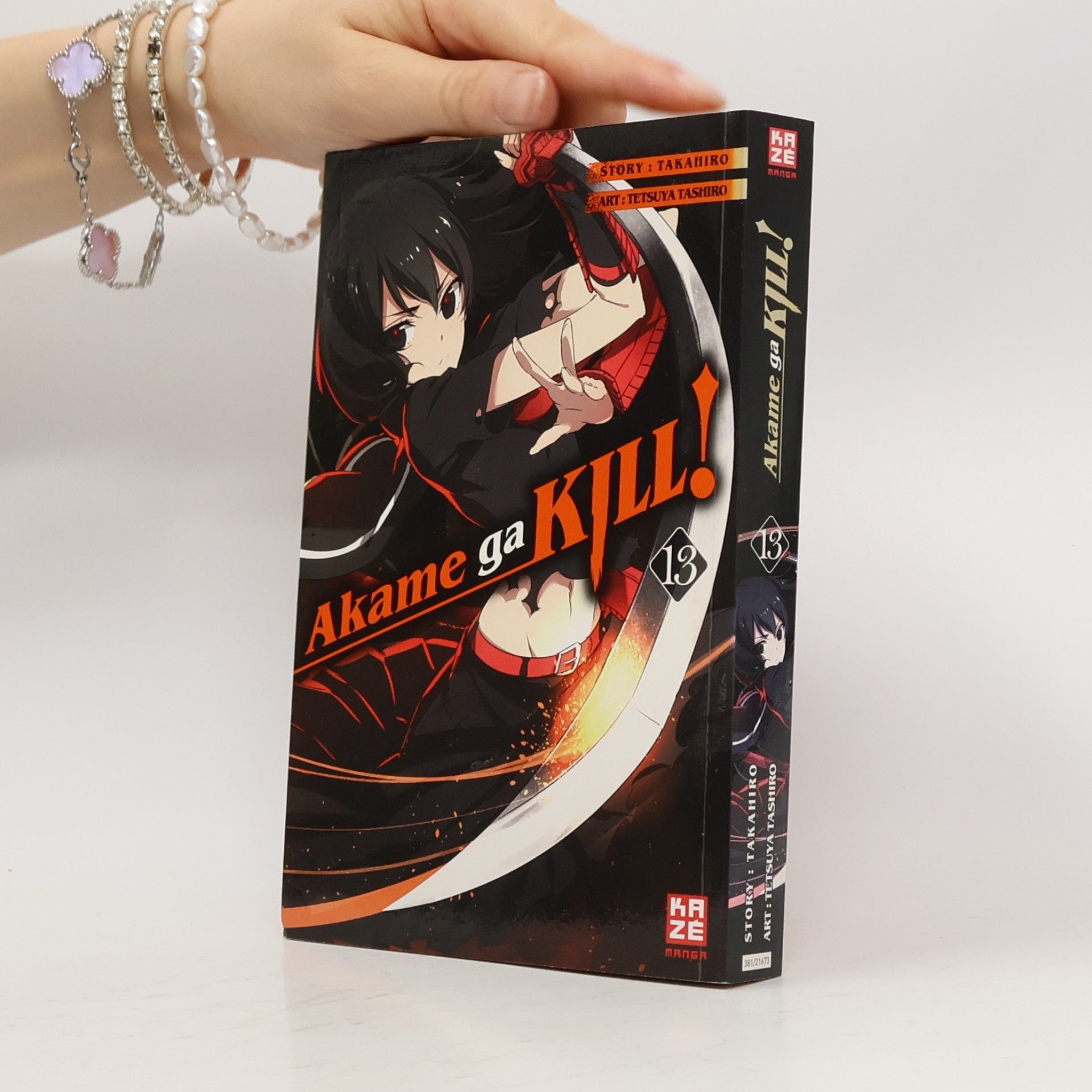 Akame ga kill! 13