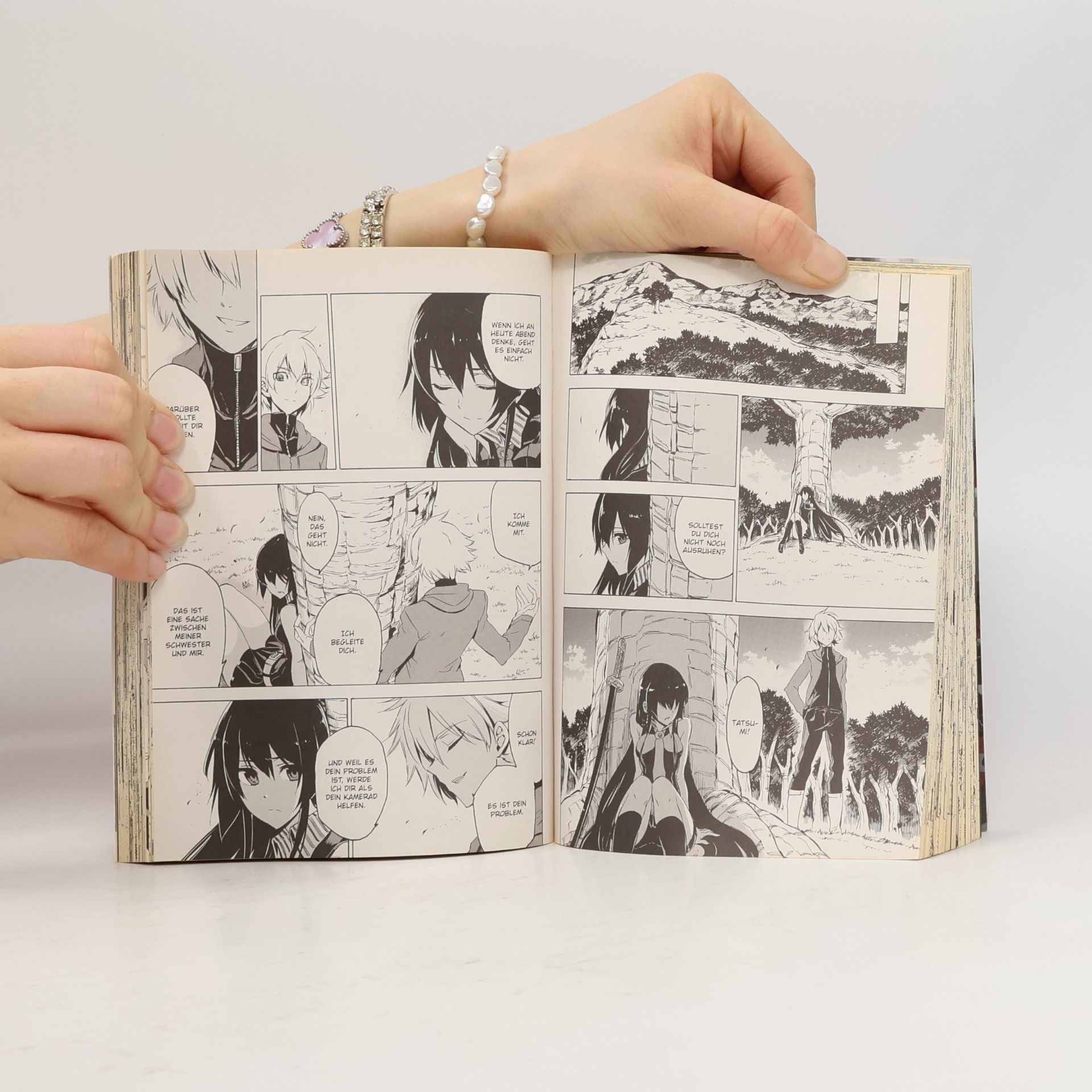 Takahiro Akame ga kill! 13