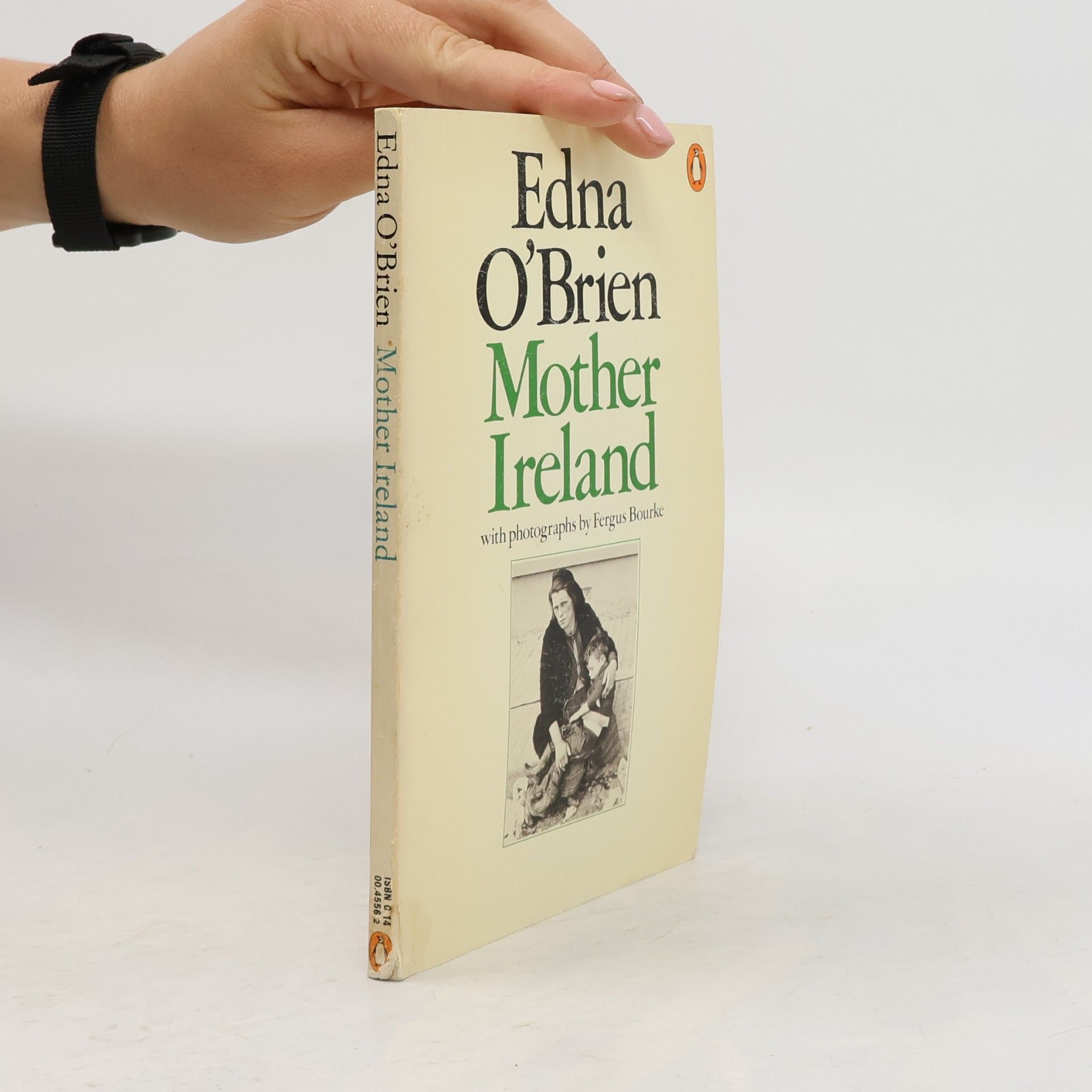 Mother Ireland