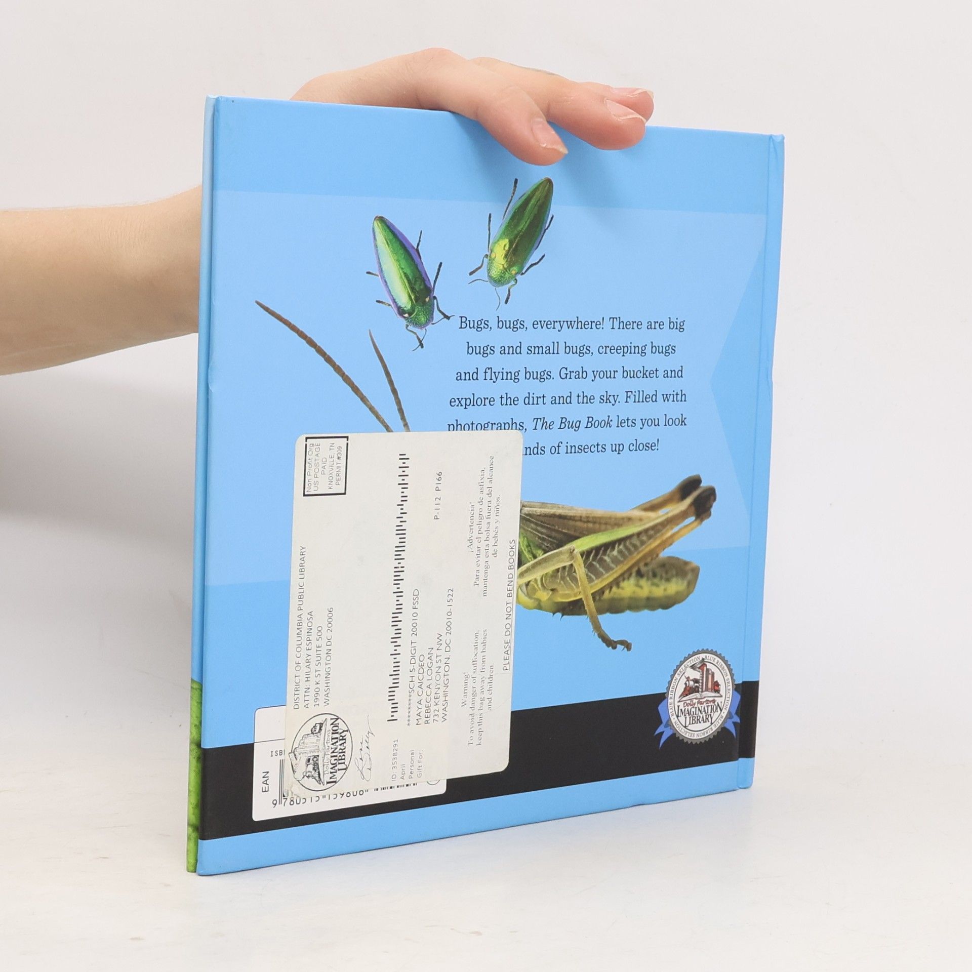 Sue Fliess The Bug Book