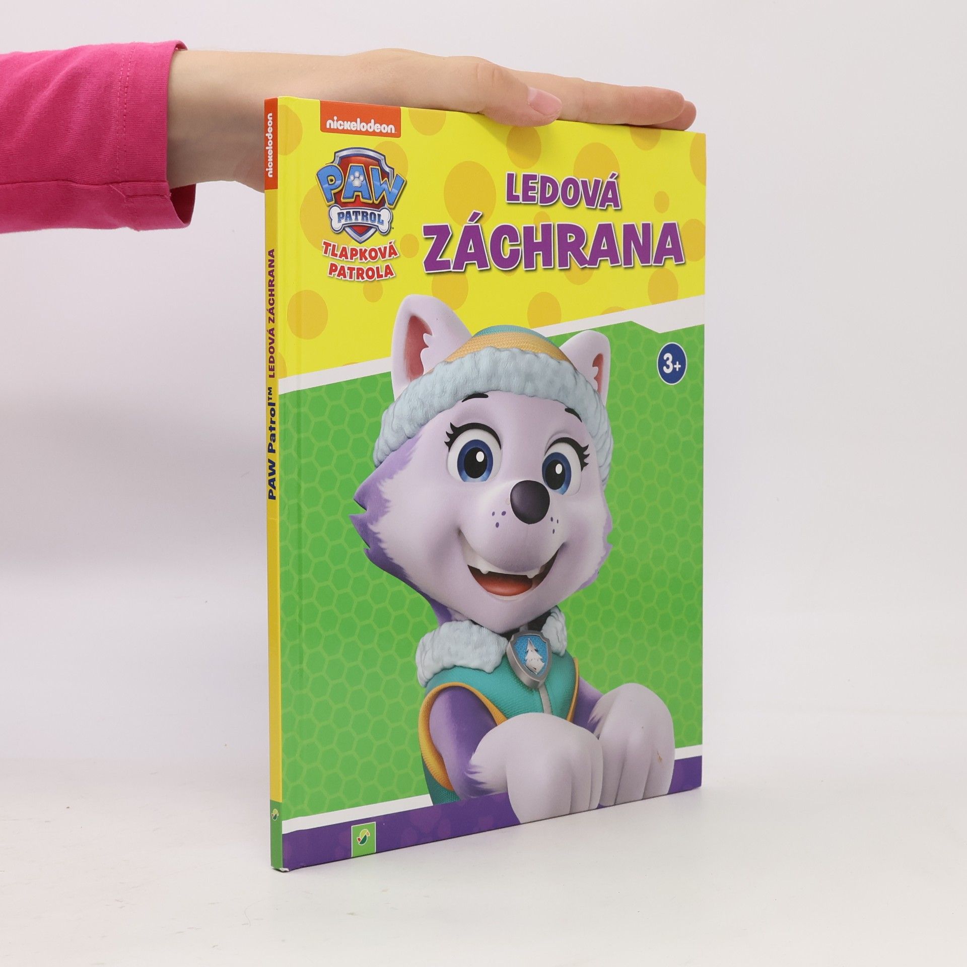 Kolektiv autorů Tlapková patrola. Ledová záchrana
