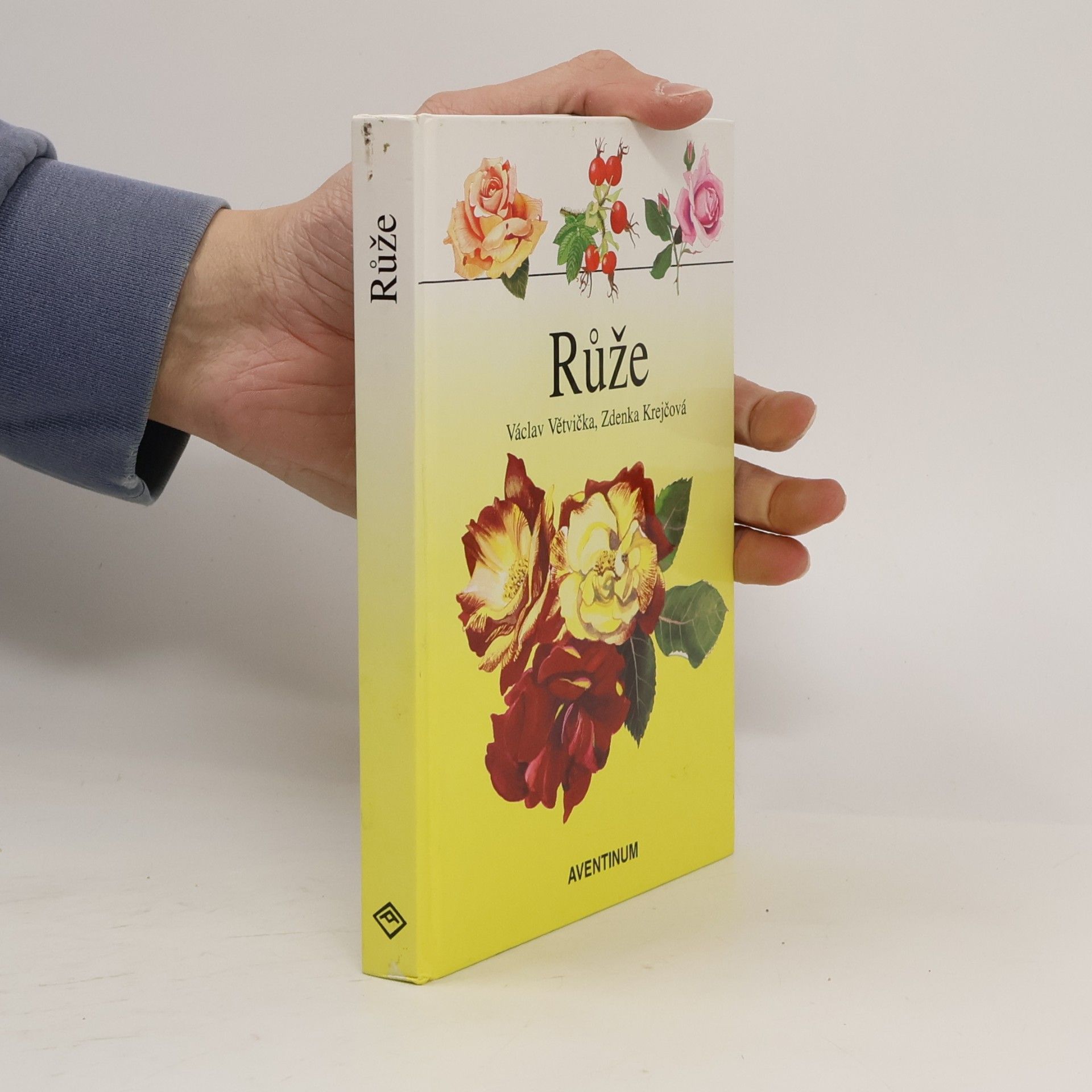 Růže