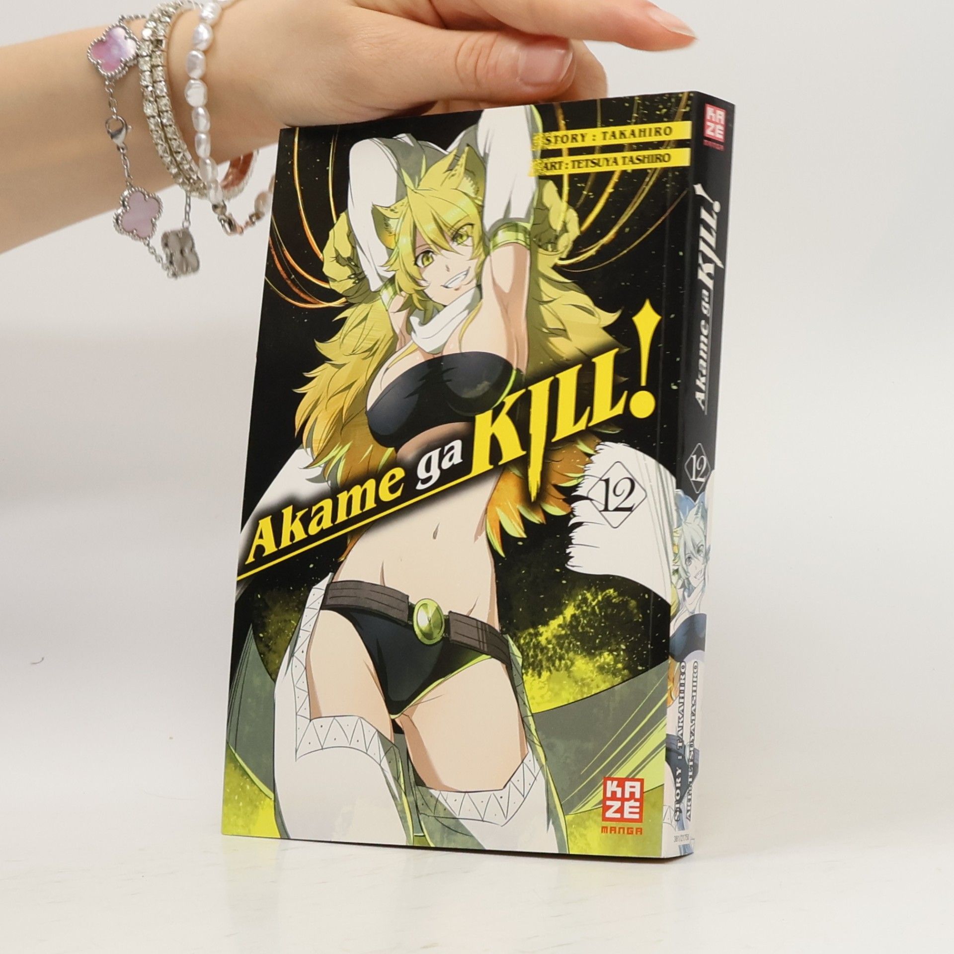 Akame ga kill! 12