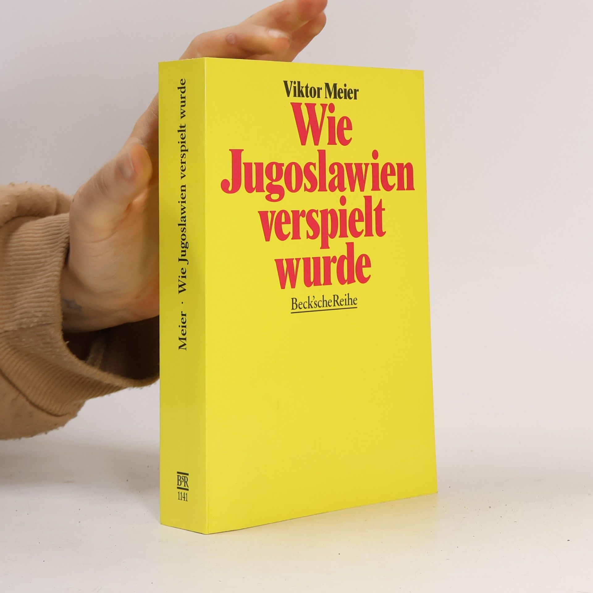 Wie Jugoslawien verspielt wurde