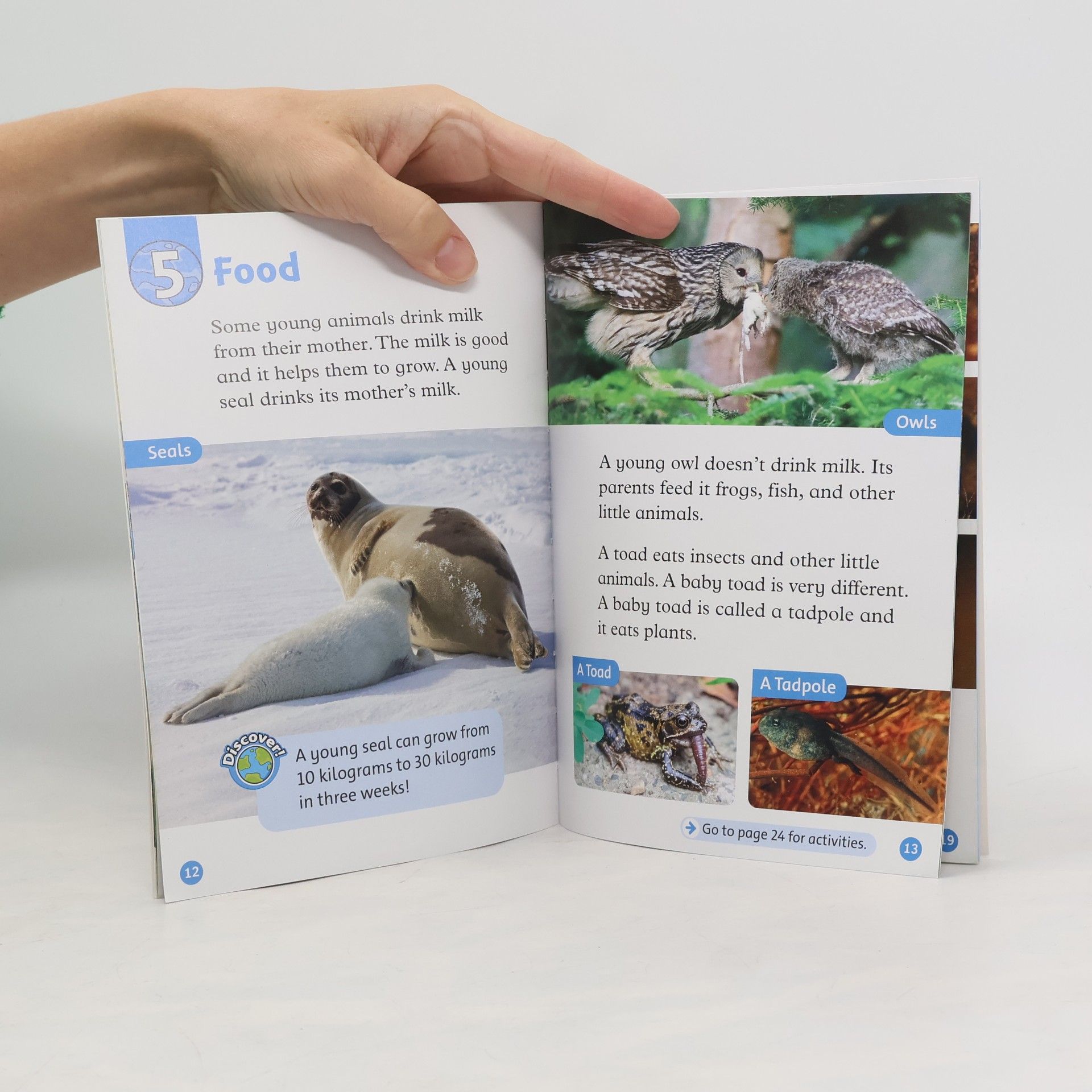 Kolektiv autorů Oxford Read and Discover: Level 1: Young Animals