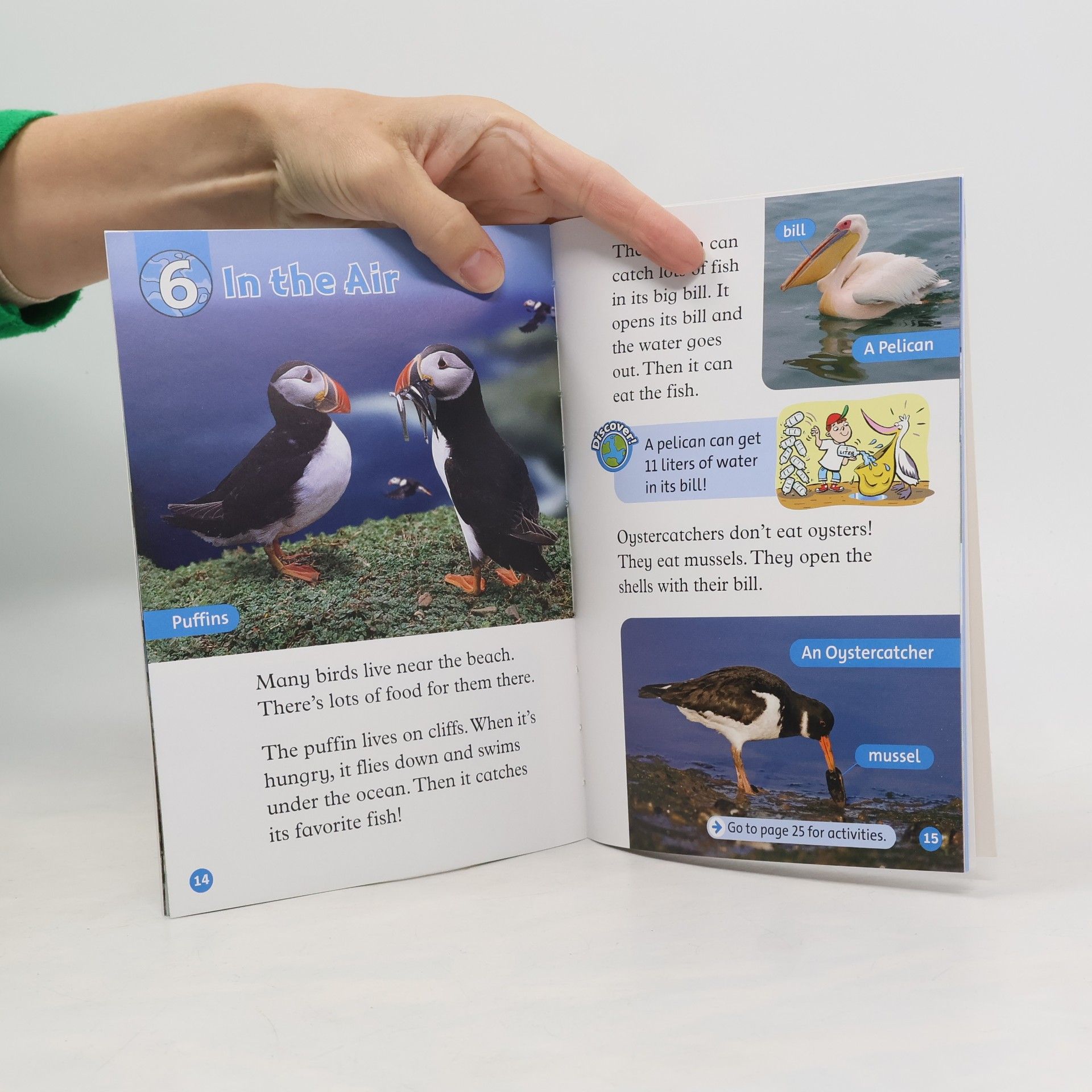 Oxford University Press Oxford Read and Discover: Level 1: At the Beach