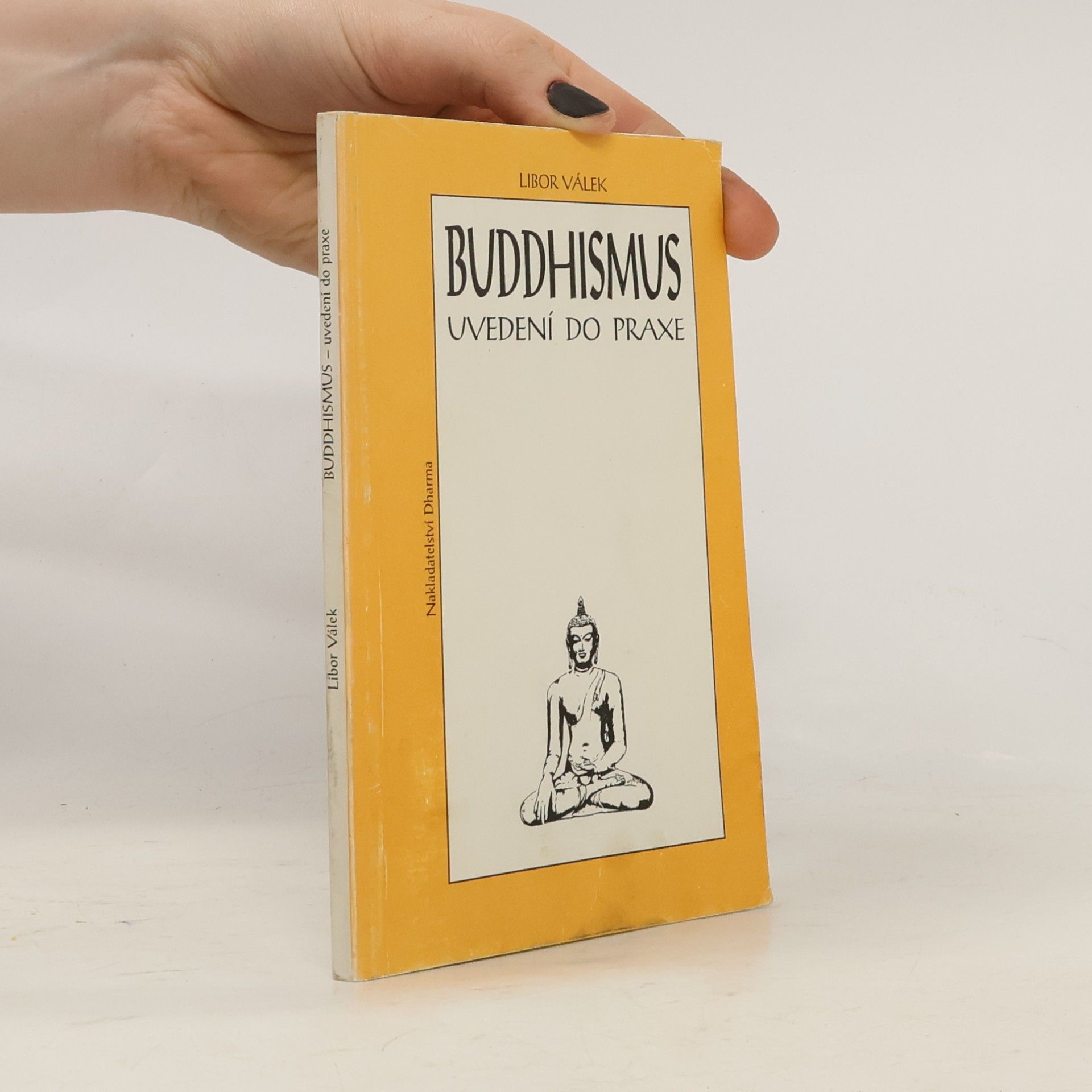 Buddhismus : uvedení do praxe