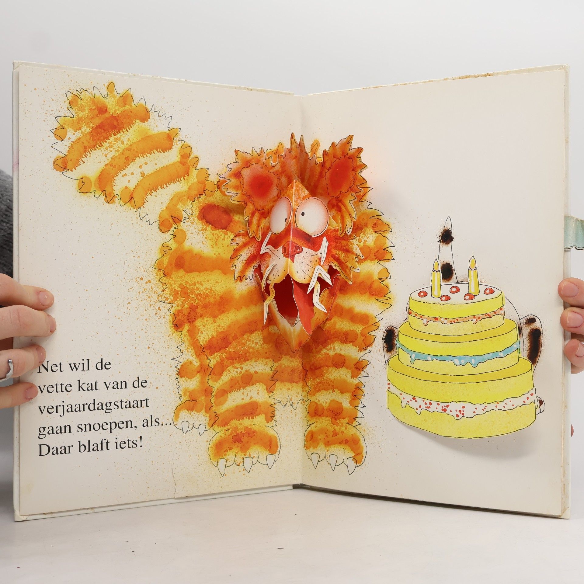 Ron Van der Meer Gefeliciteerd, kleine muis!