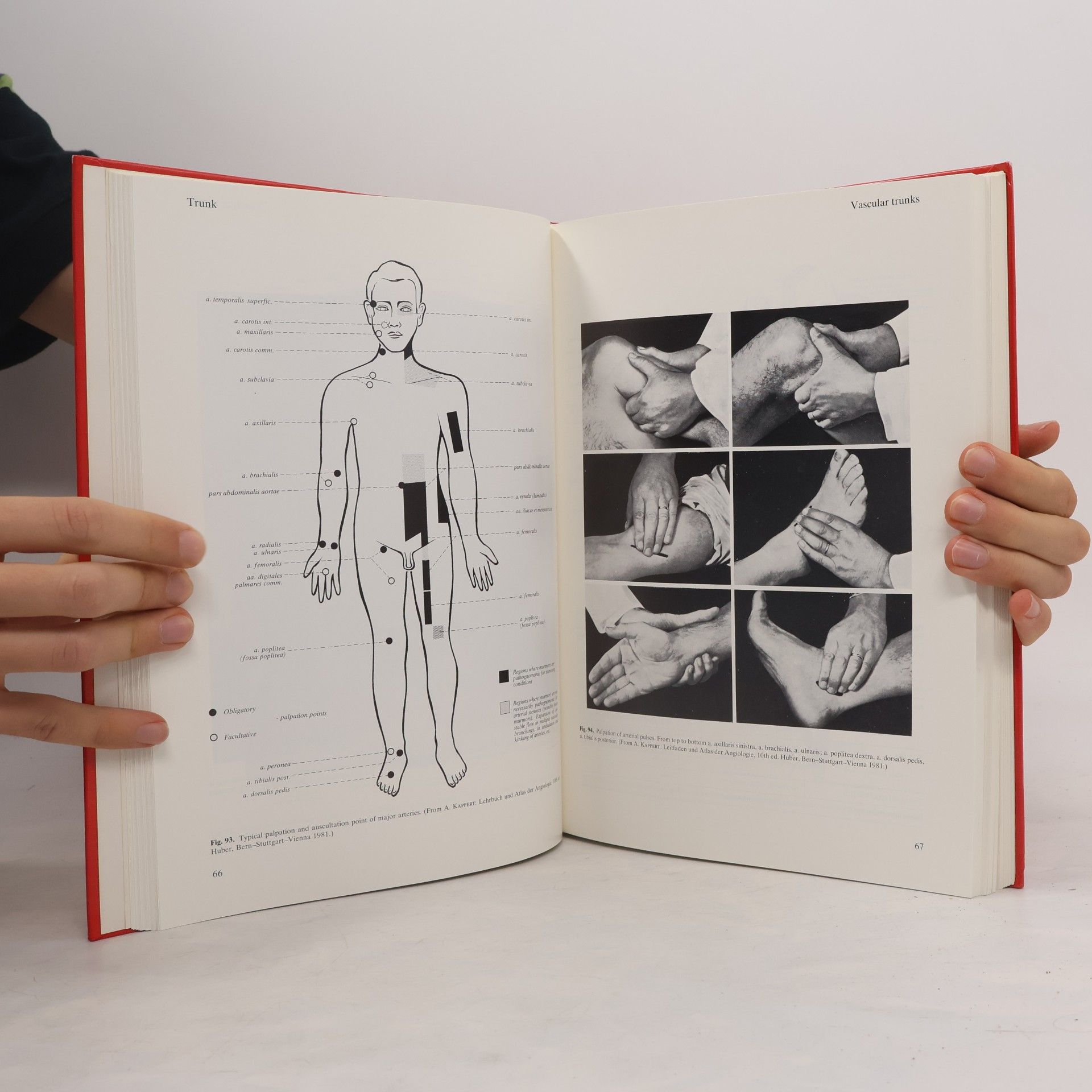Johannes Sobotta Atlas of human anatomy. Vol. 2, thorax, abdomen, pelvis, lower extremities, skin