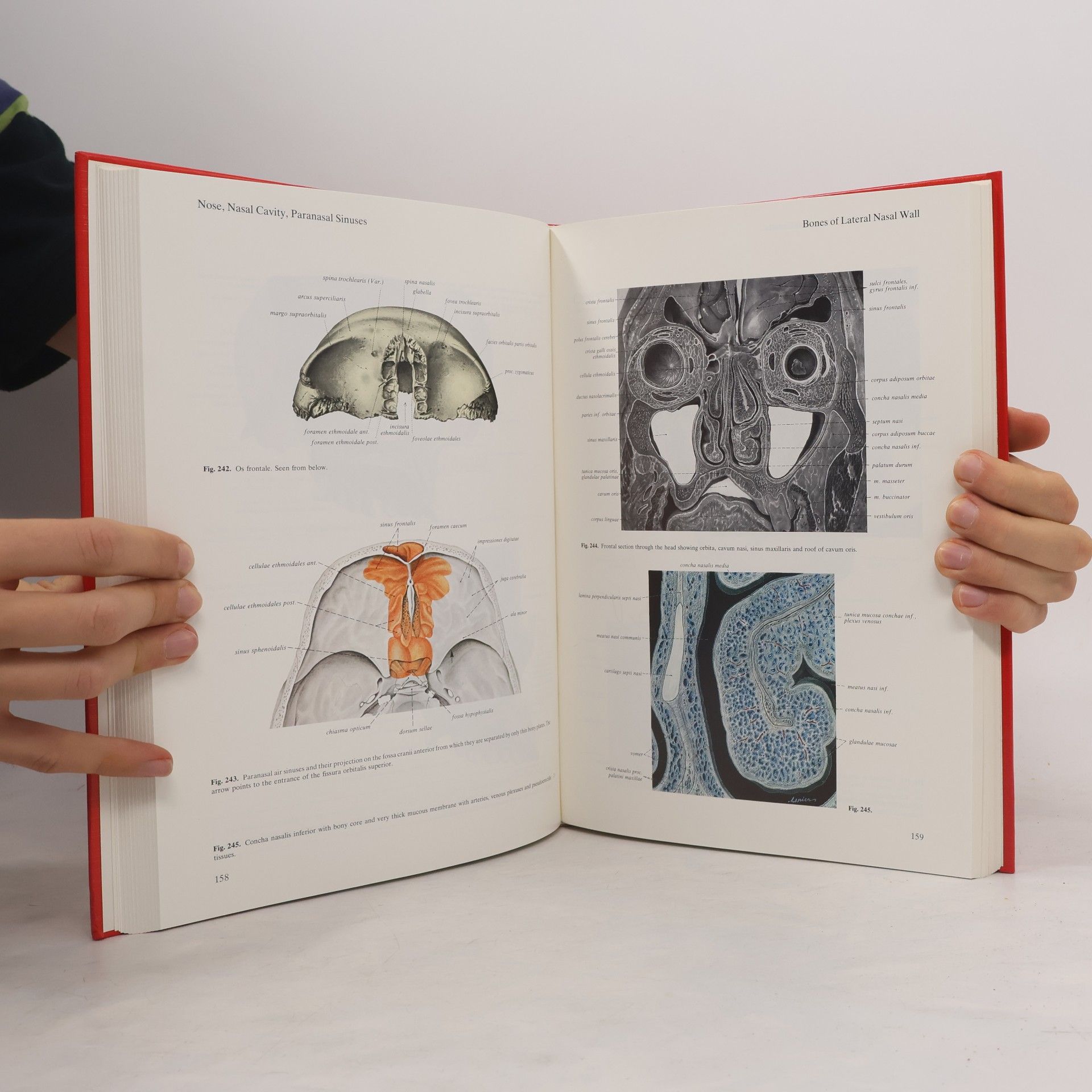 Helmut Ferner Sobotta Atlas of Human Anatomy 1