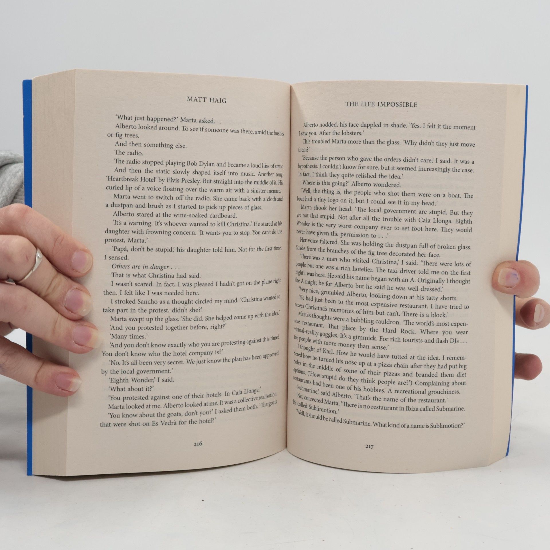 Matt Haig The Life Impossible