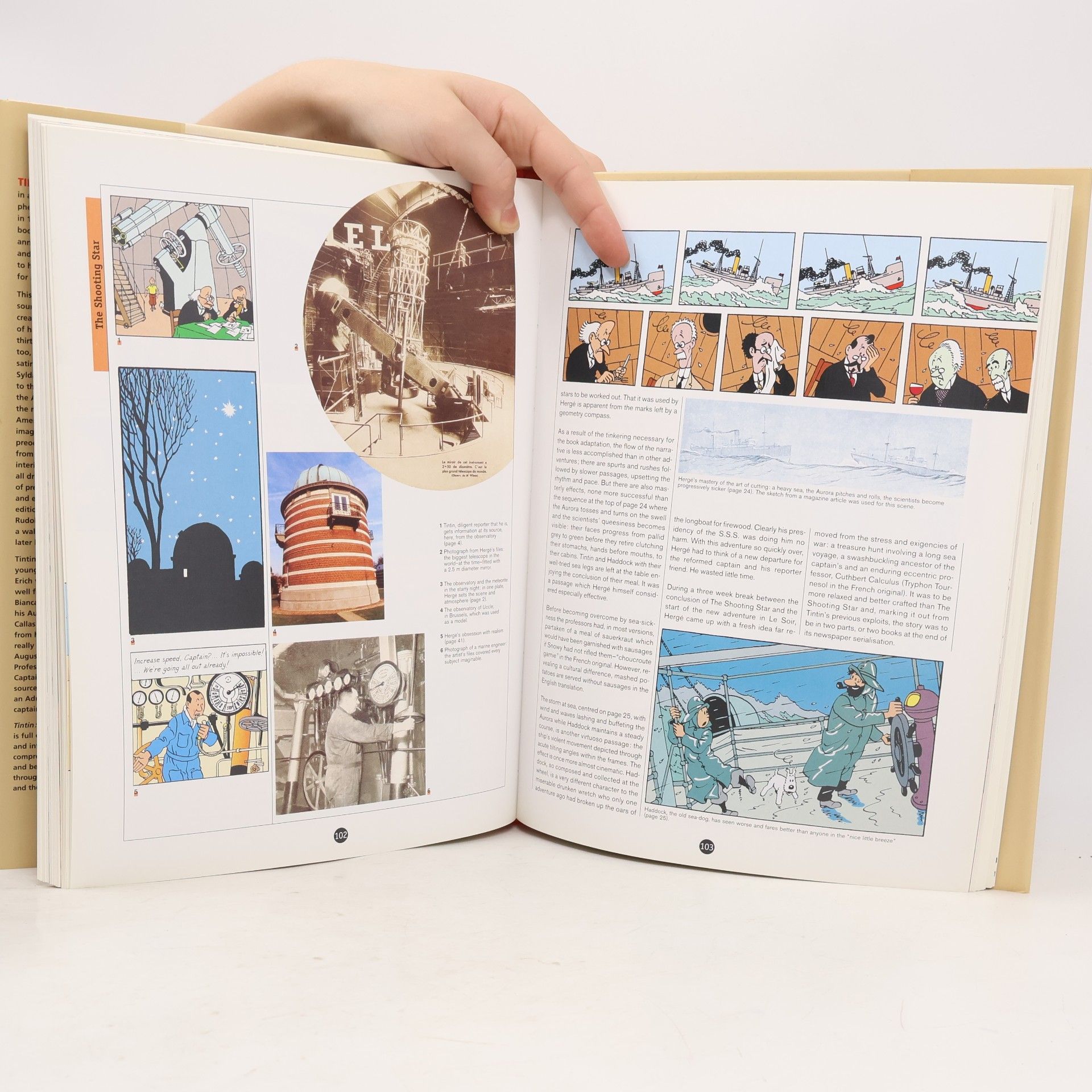 Michael Farr Tintin