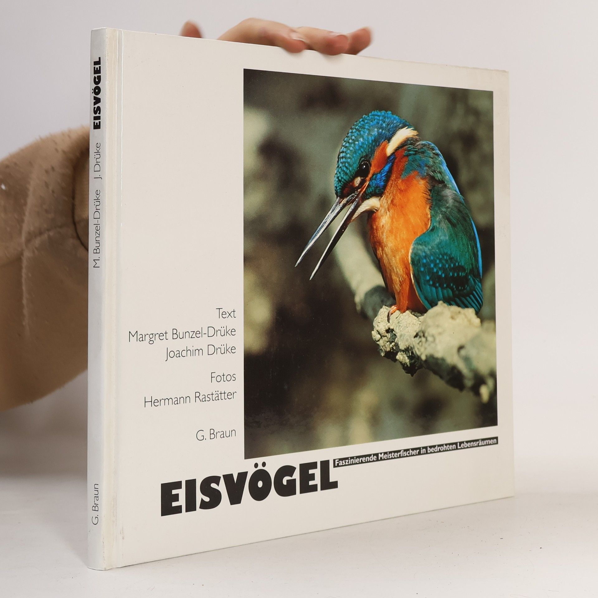 Eisvögel