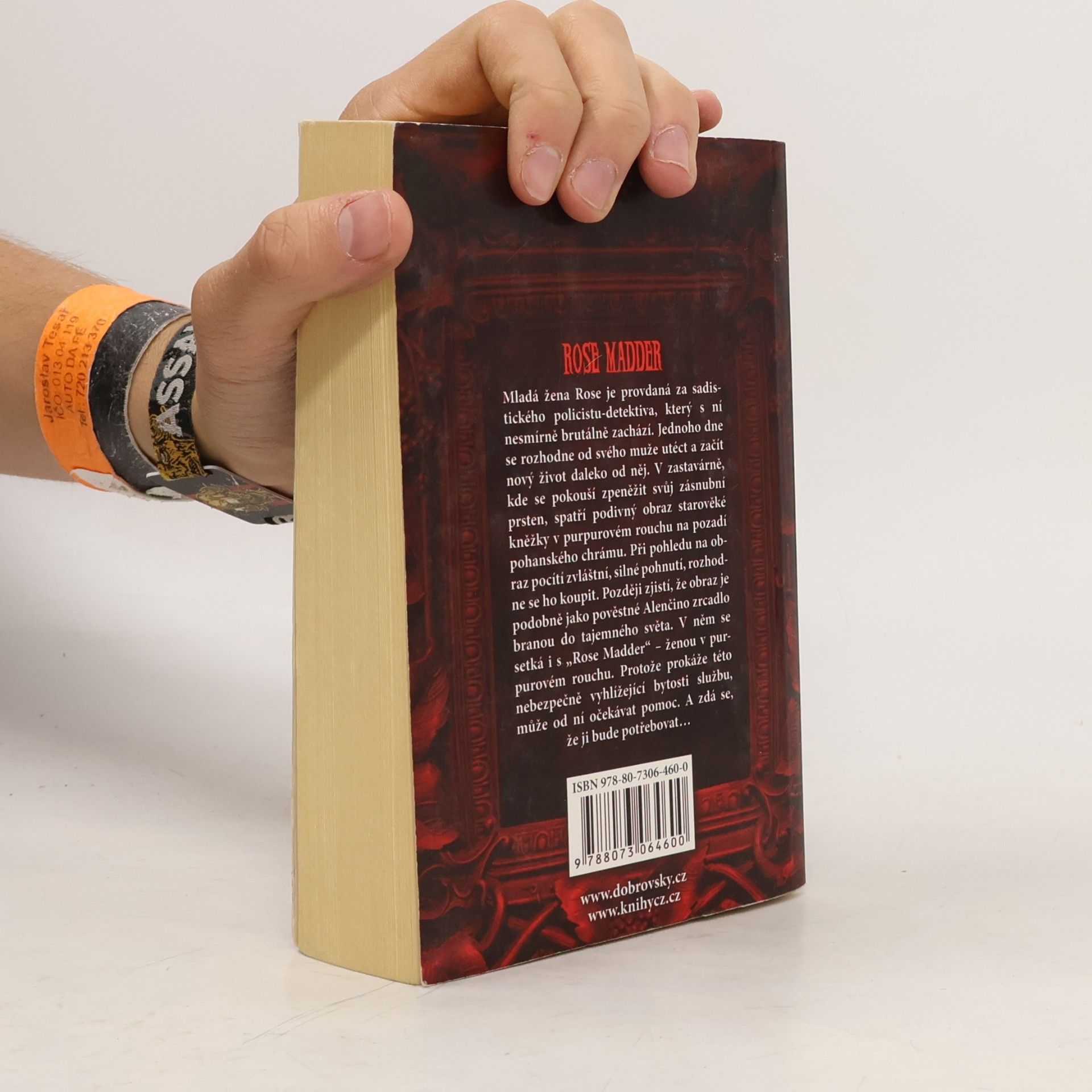 Stephen King Rose Madder