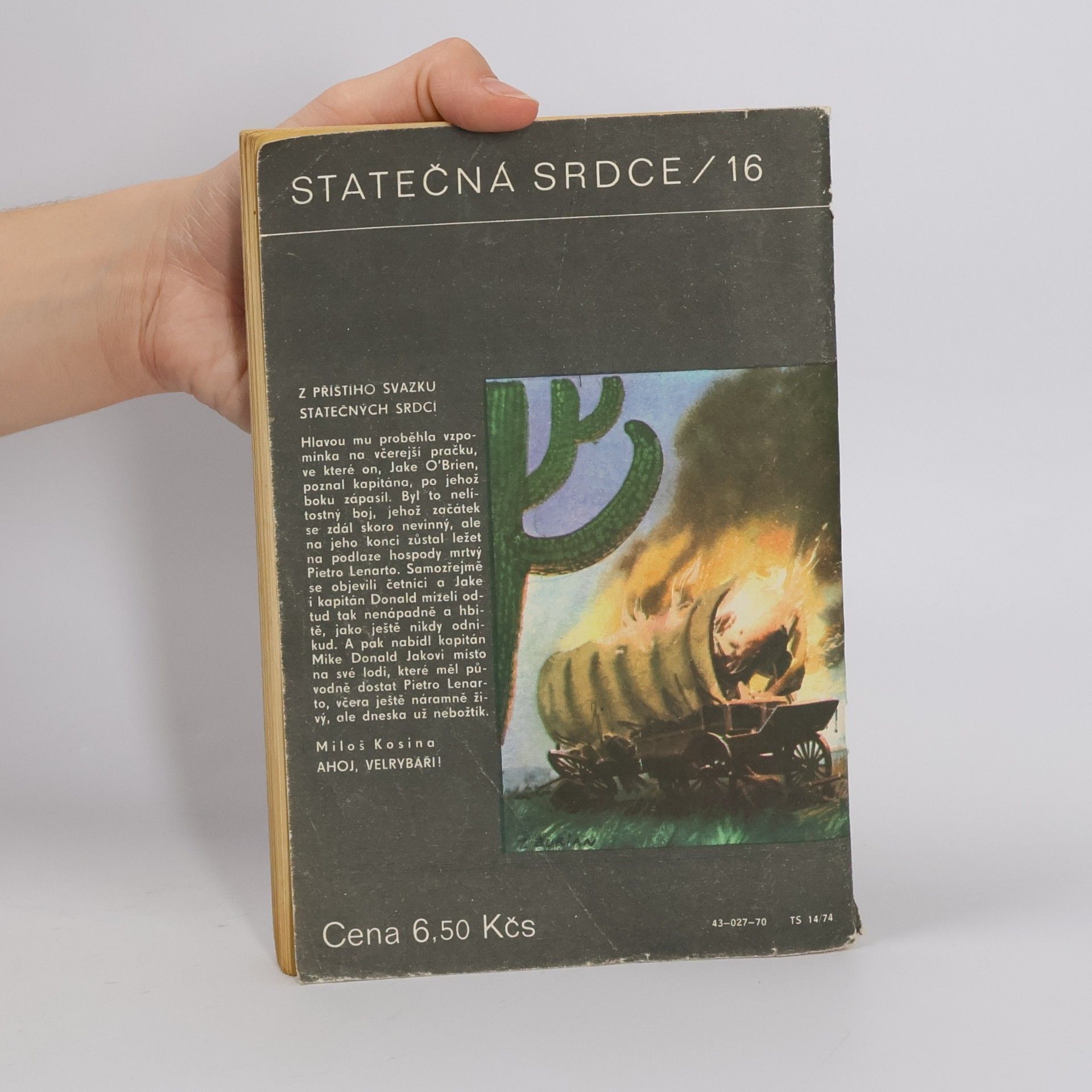 Bret Harte Ztraceni v pustině