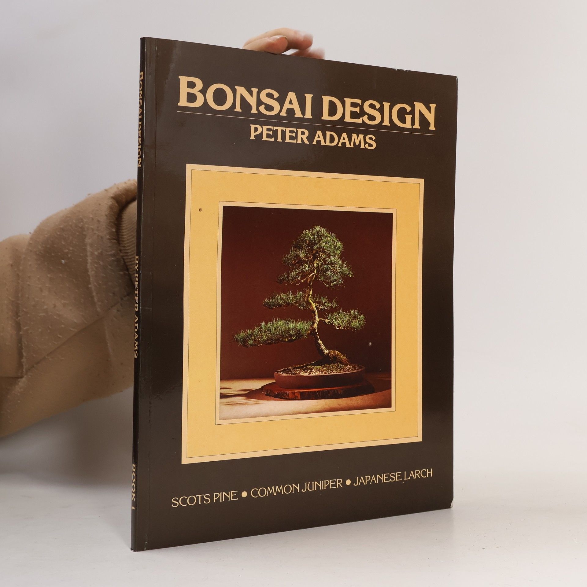 Peter D. Adams Bonsai Design