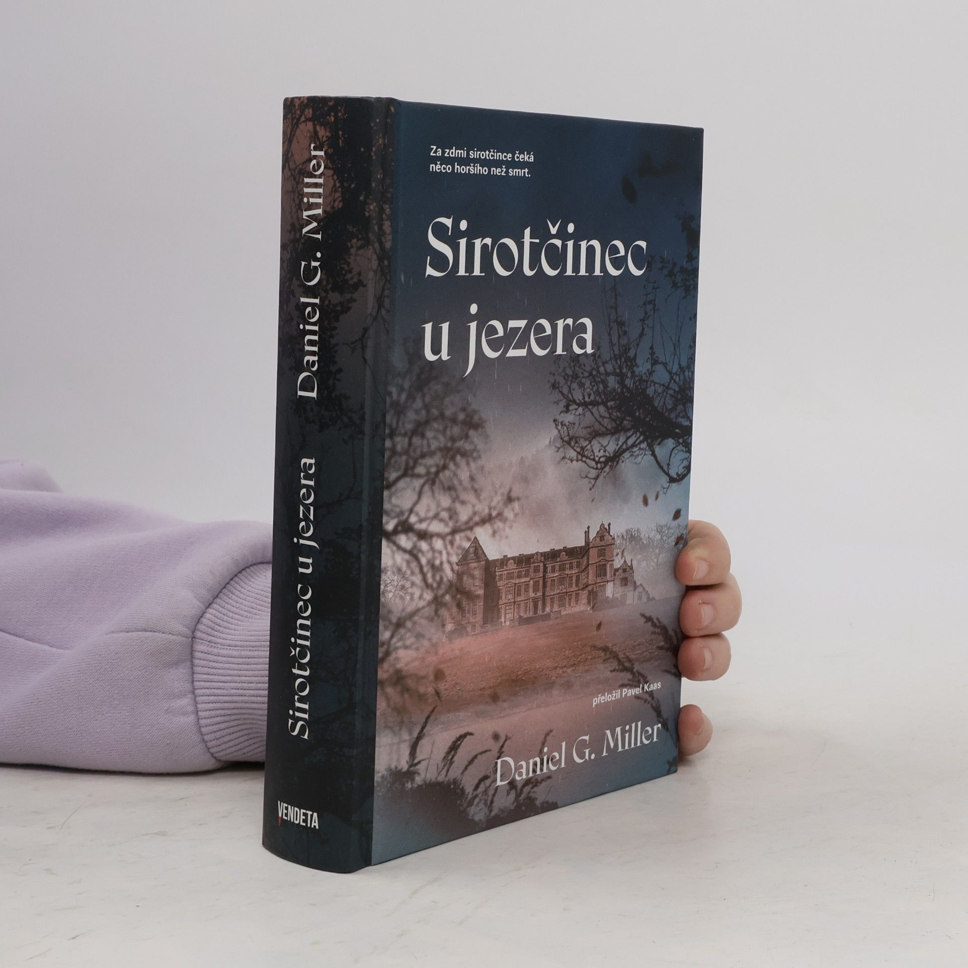 Daniel G. Miller Sirotčinec u jezera