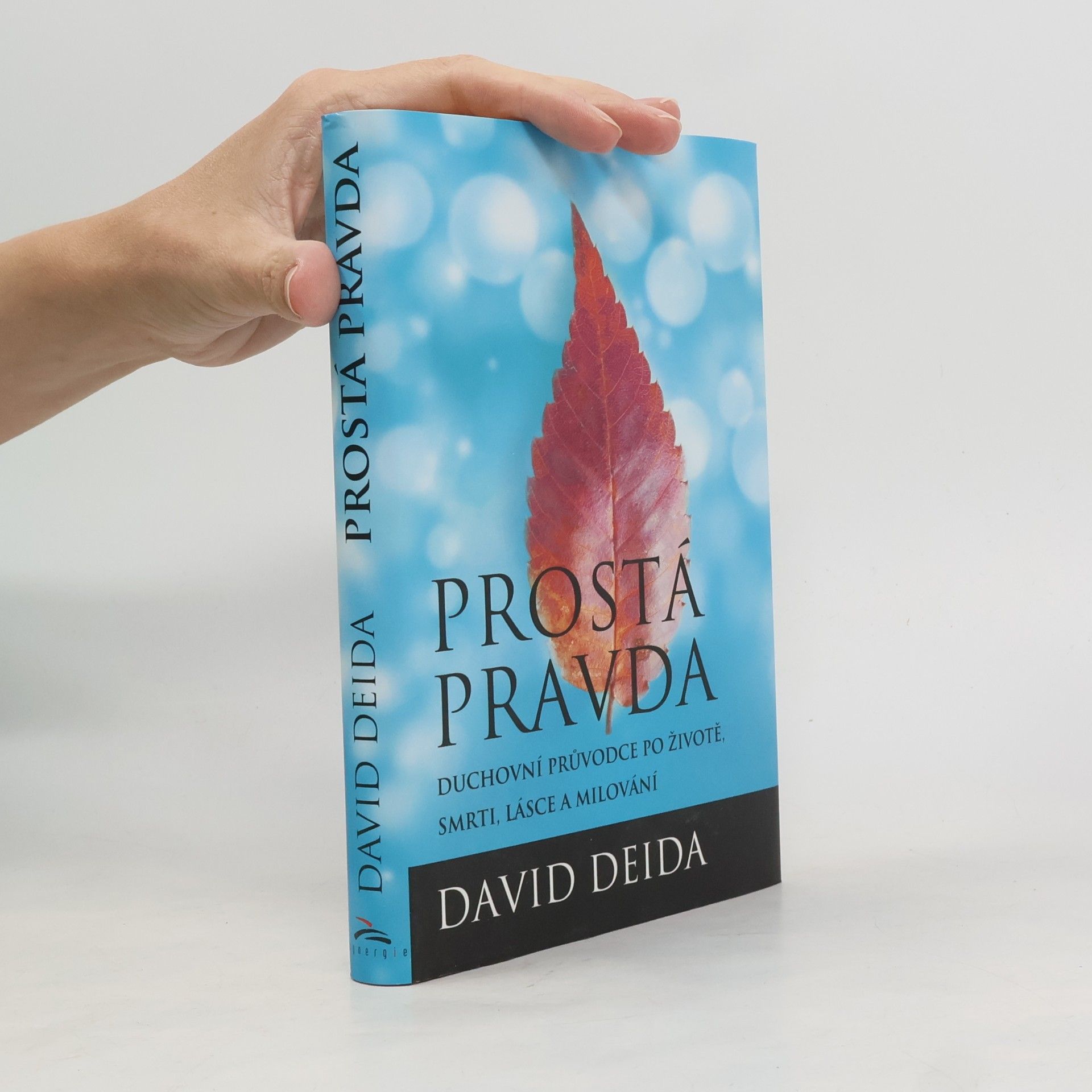 David Deida Prostá pravda