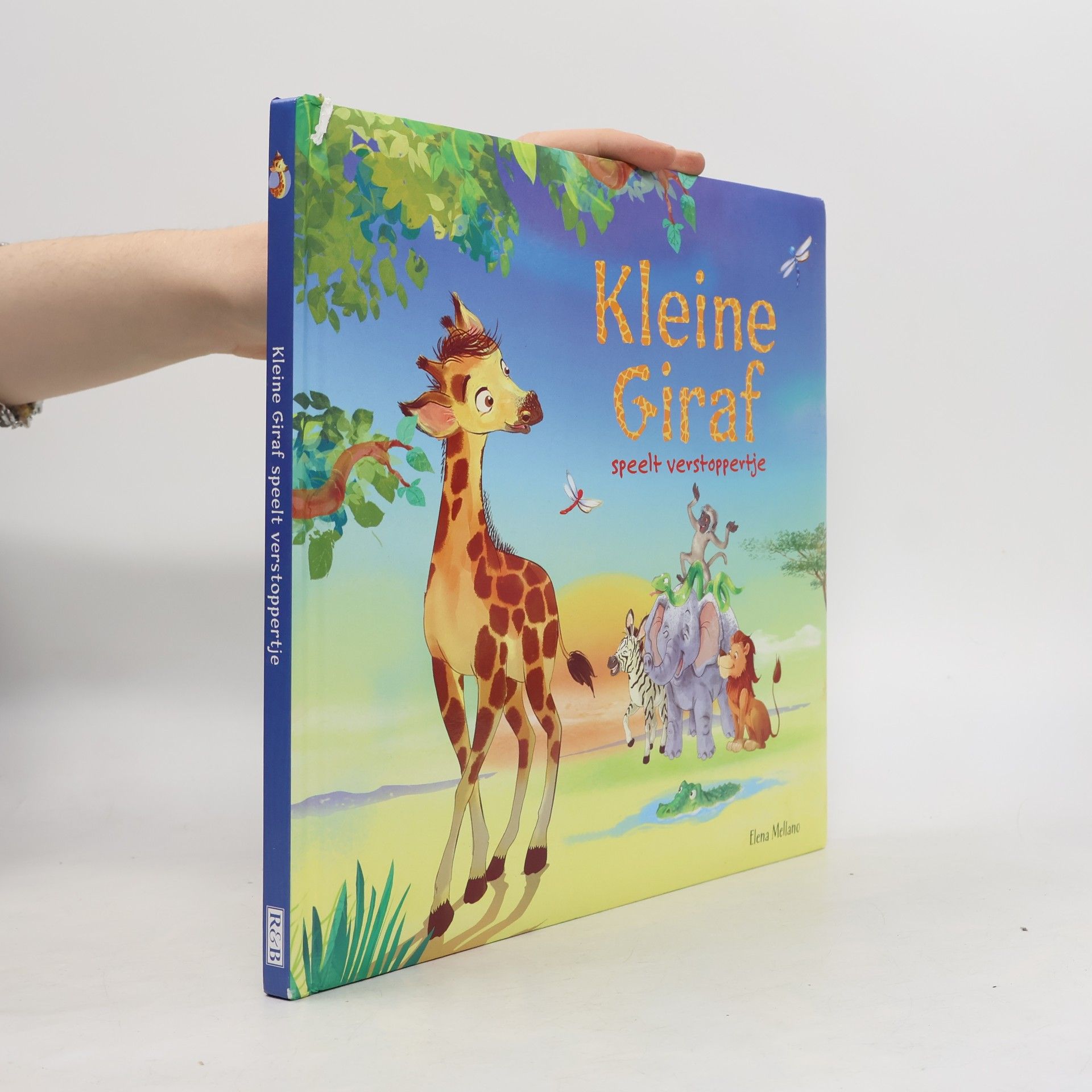 Kleine Giraf
