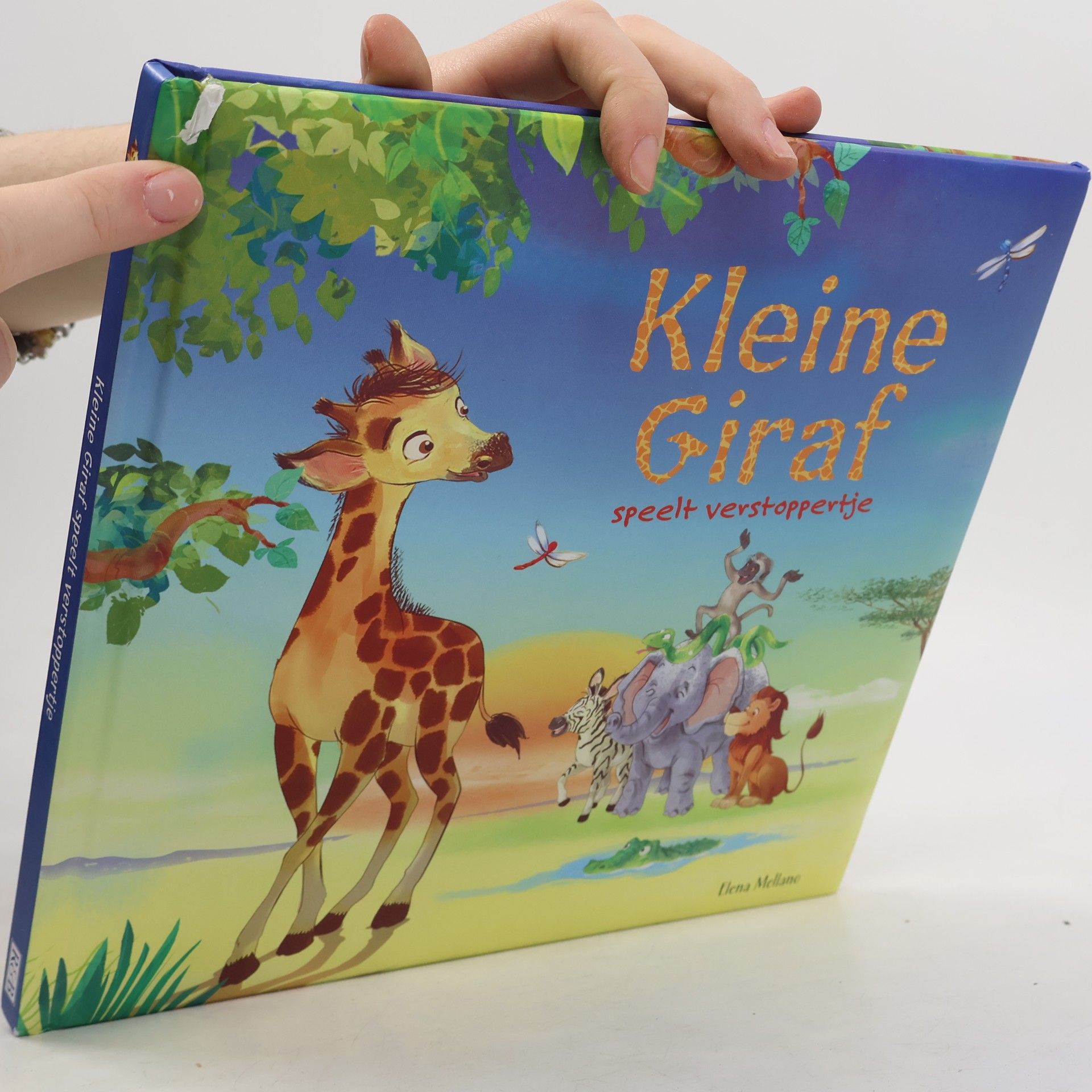 Elke Doelman Kleine Giraf
