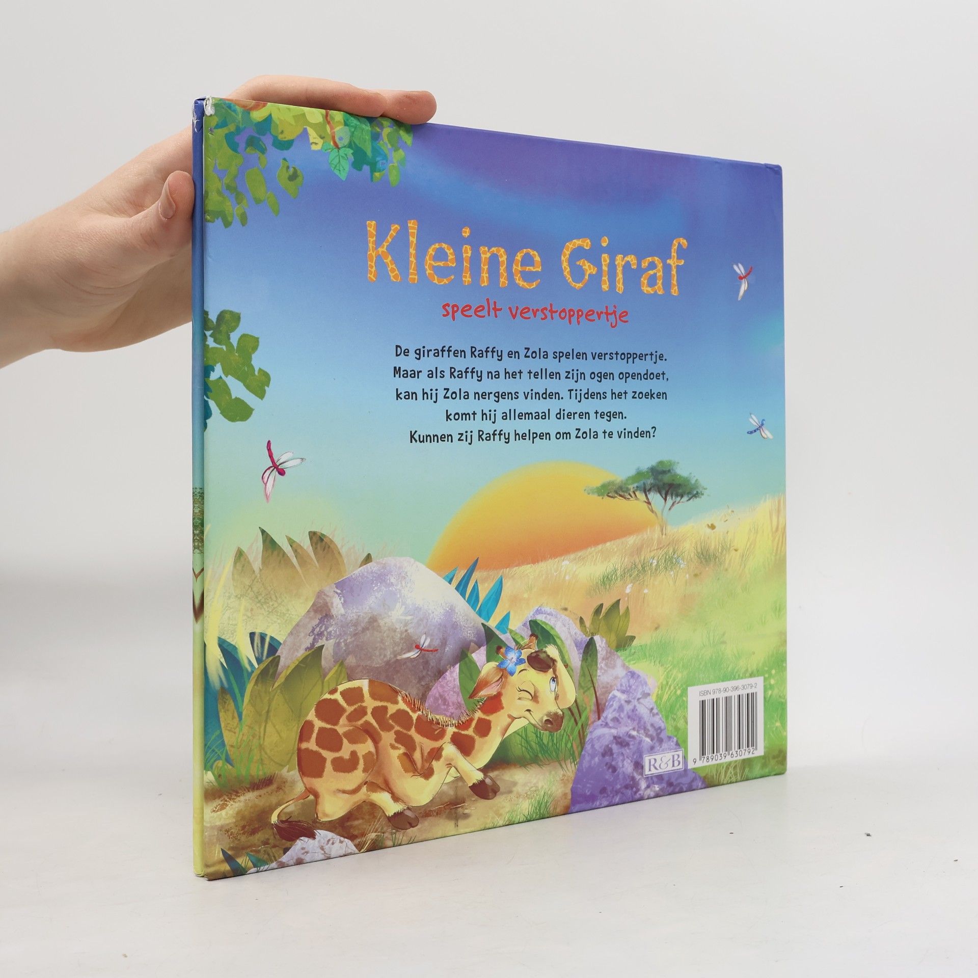 Elke Doelman Kleine Giraf