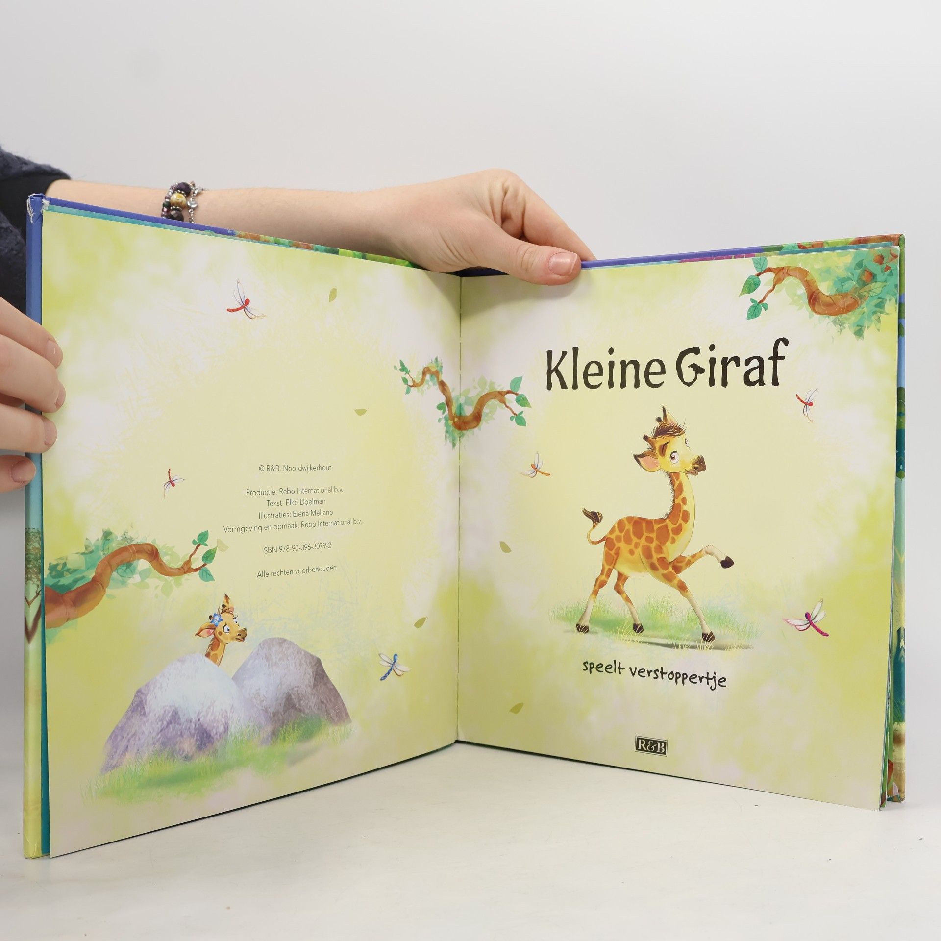 Elke Doelman Kleine Giraf