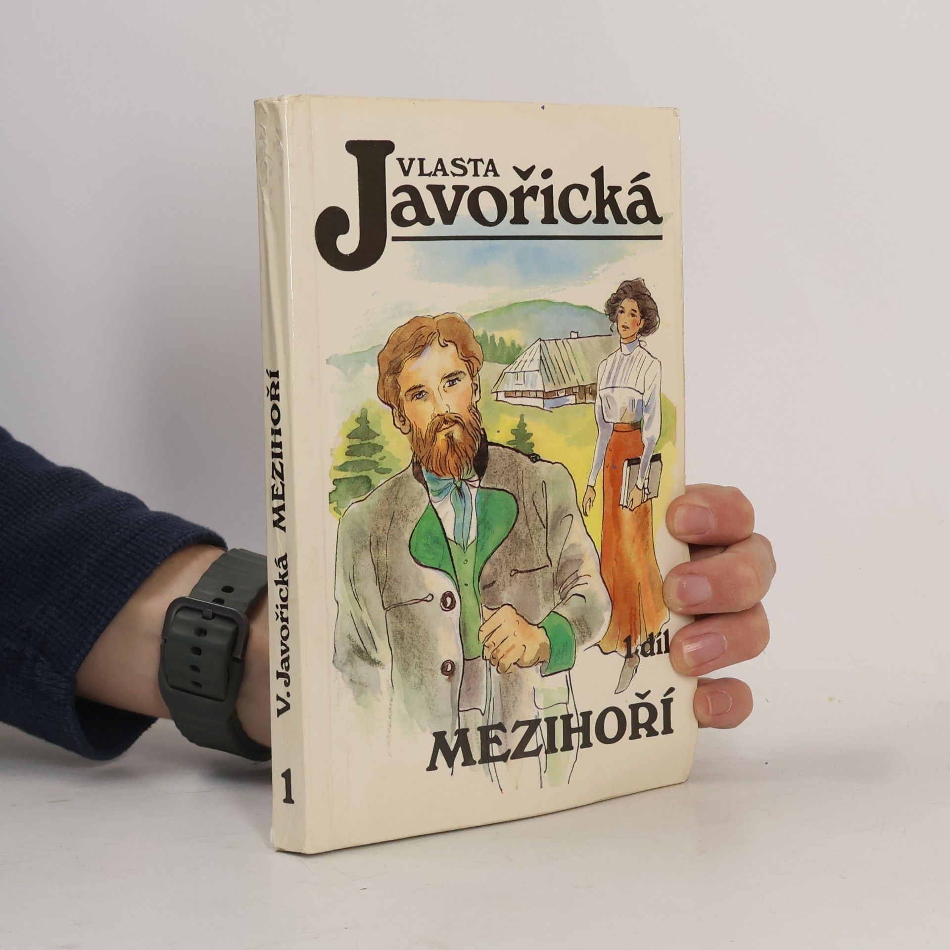 Mezihoří 1