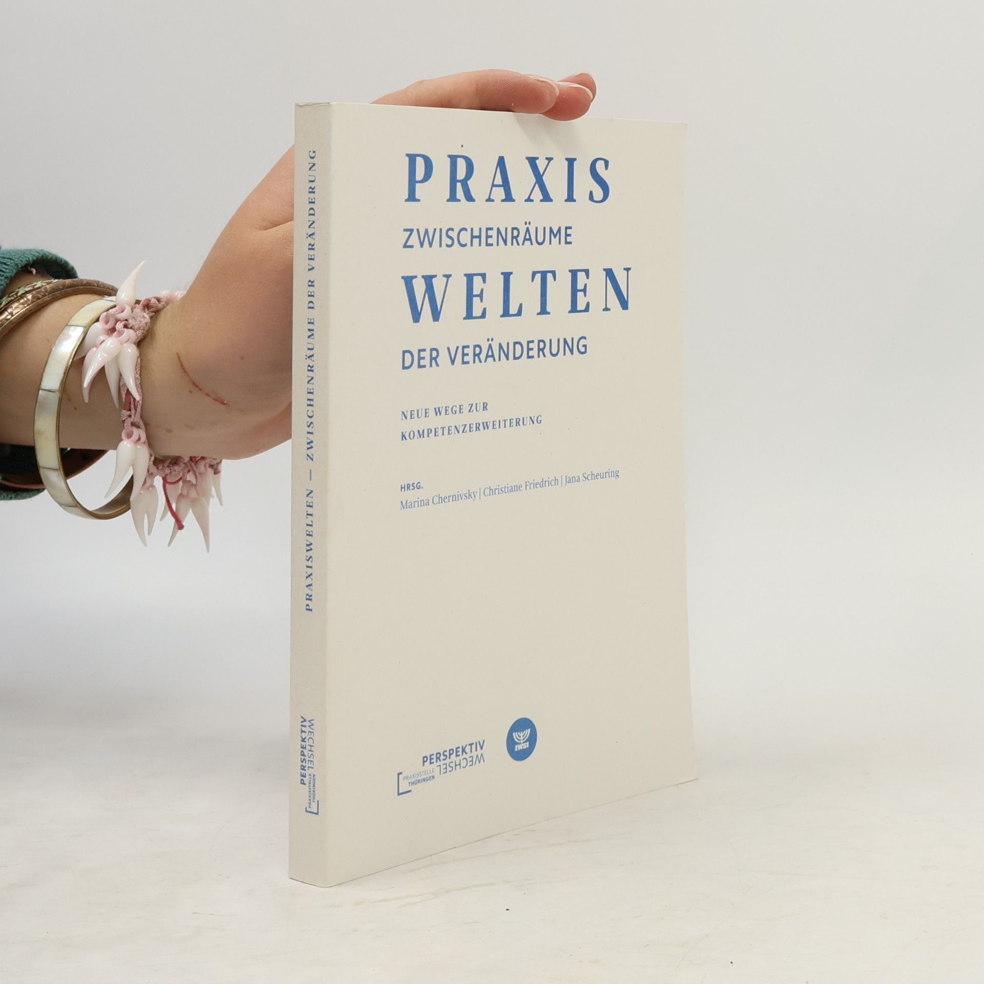 Praxiswelten Zwischenräume der Veränderung
