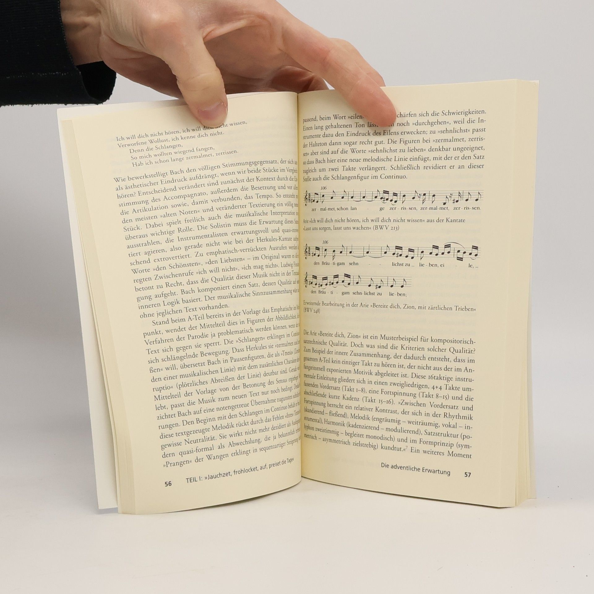 Meinrad Walter Johann Sebastian Bach, Weihnachtsoratorium