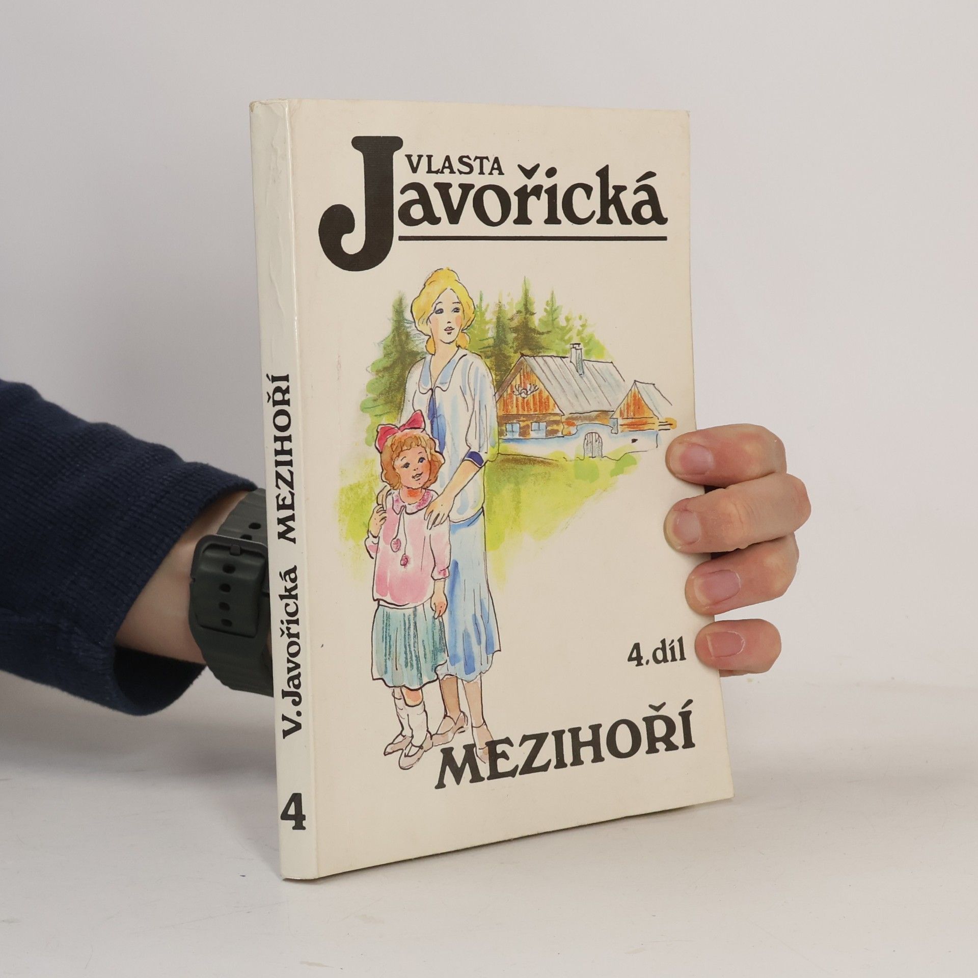 Mezihoří 4