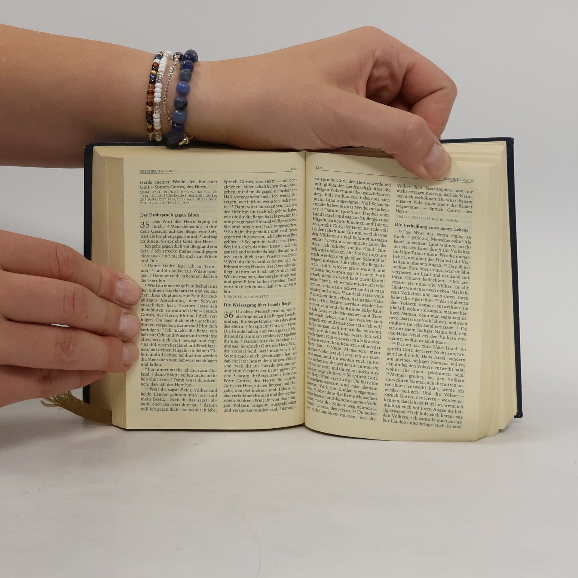 Deutsche Bibelgesellschaft Die Heilige Schrift