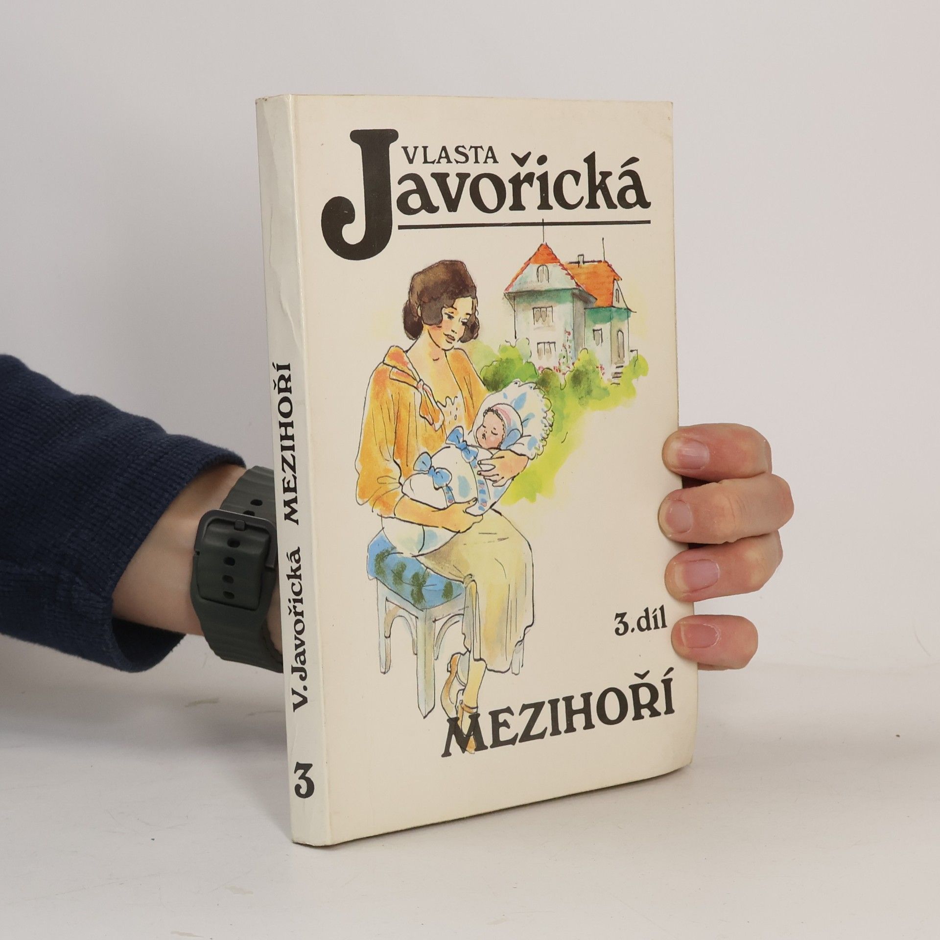 Mezihoří 3