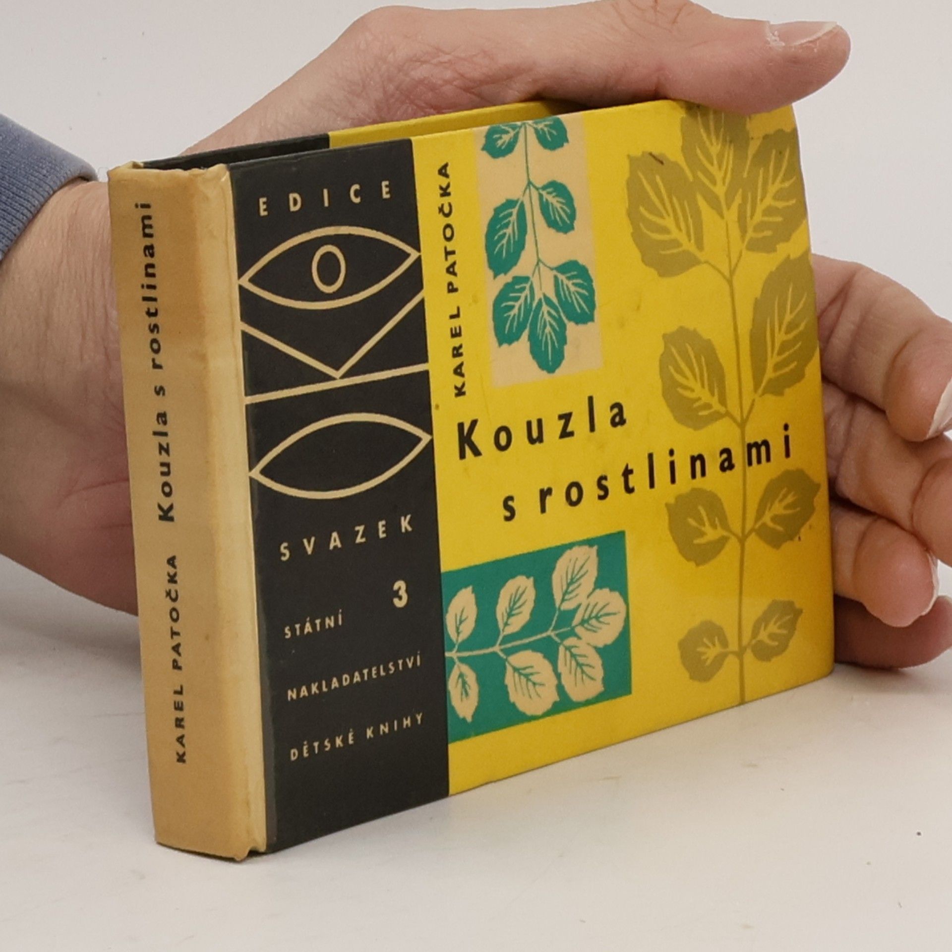 Kouzla s rostlinami