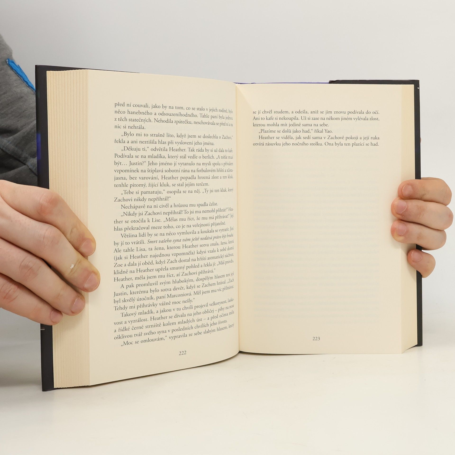Liane Moriarty Úplně cizí lidé