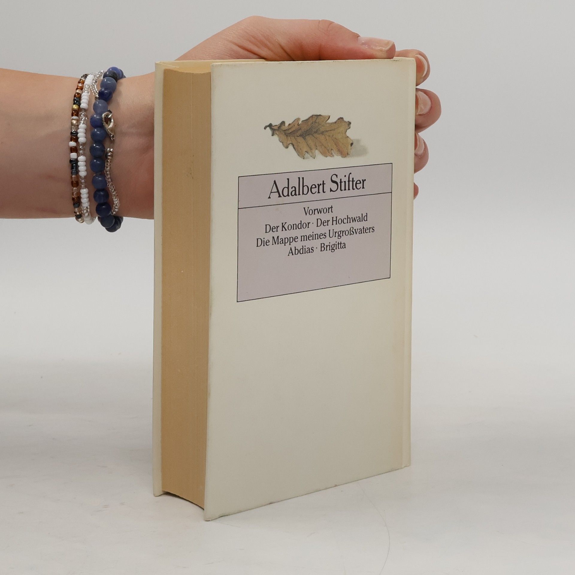 Adalbert Stifter Gesammelte Werke