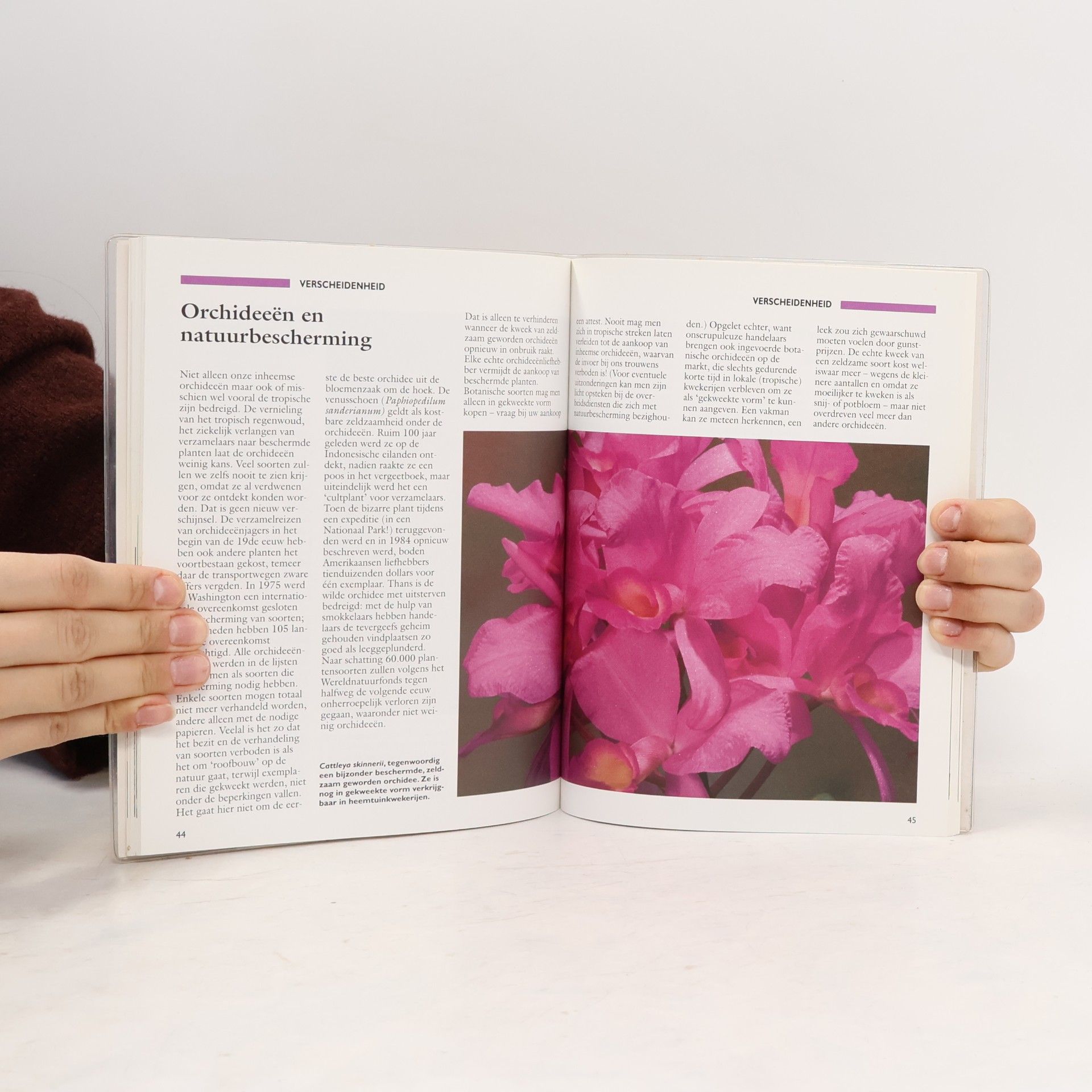 Jörn Pinske Schitterende orchideee͏̈n