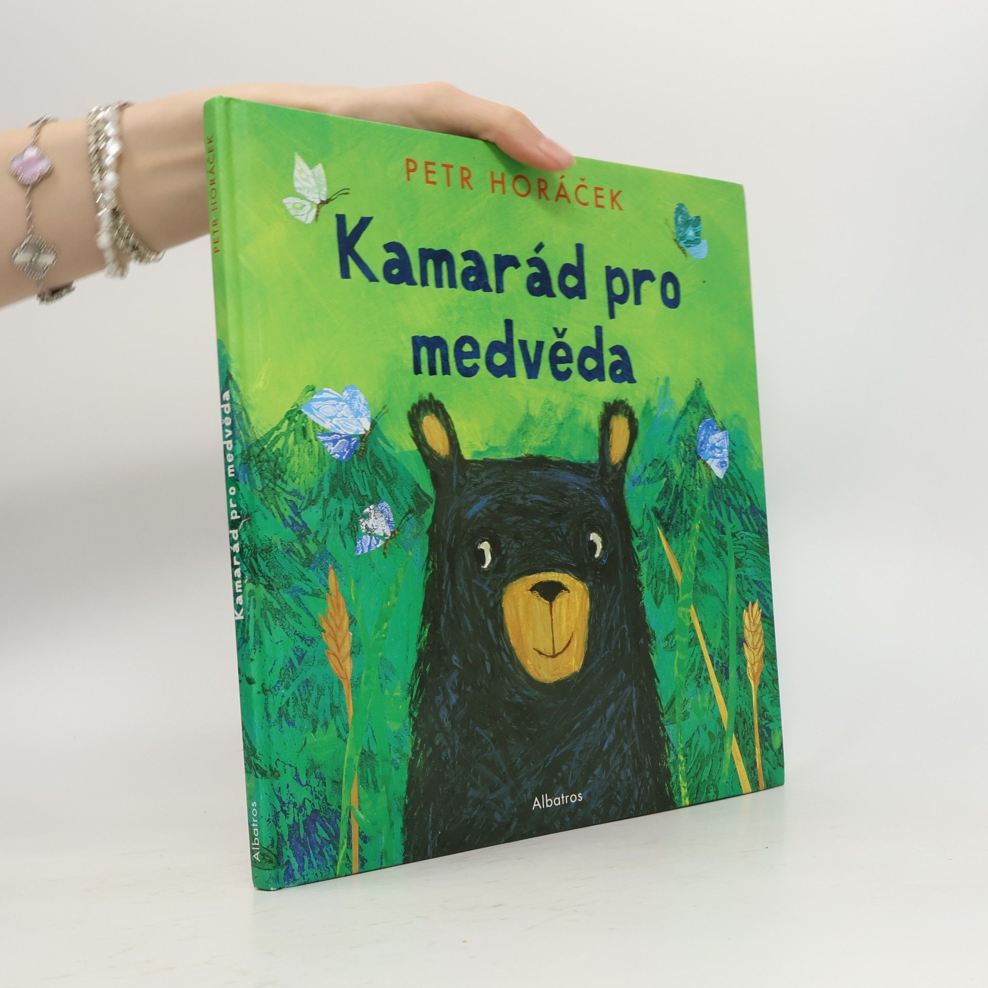 Kamarád pro medvěda