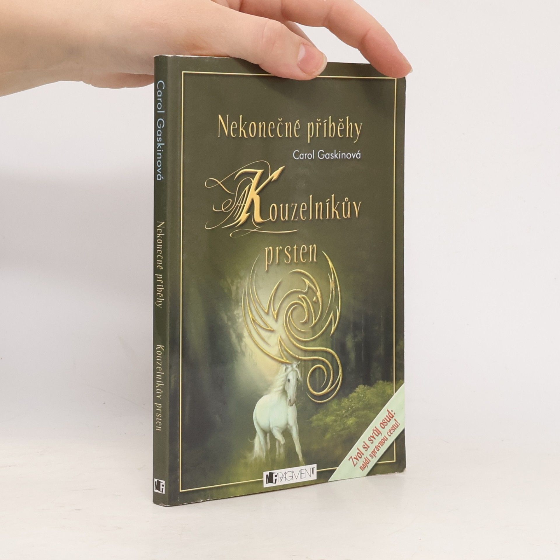 Kouzelníkův prsten : nekonečné příběhy