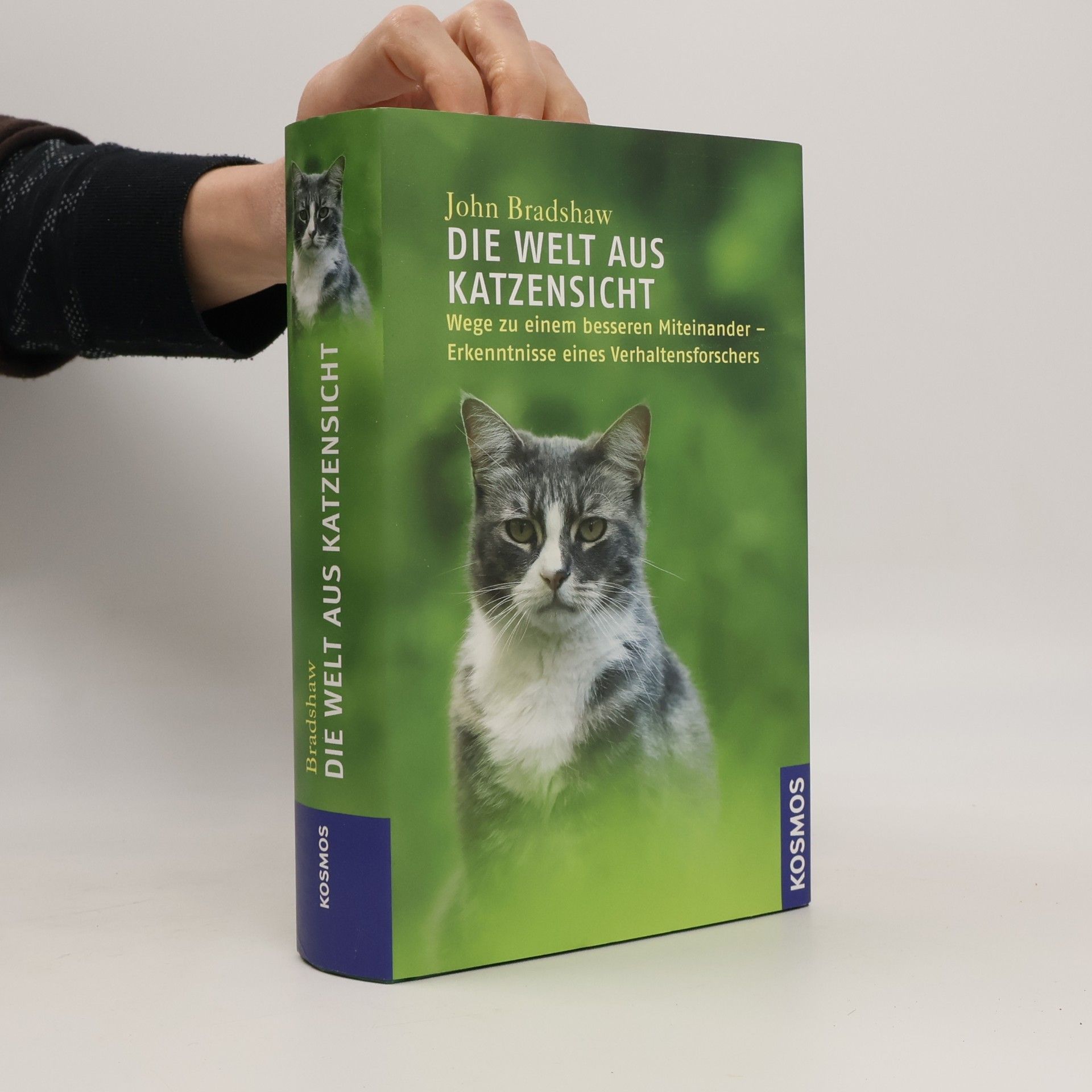 Die Welt aus Katzensicht