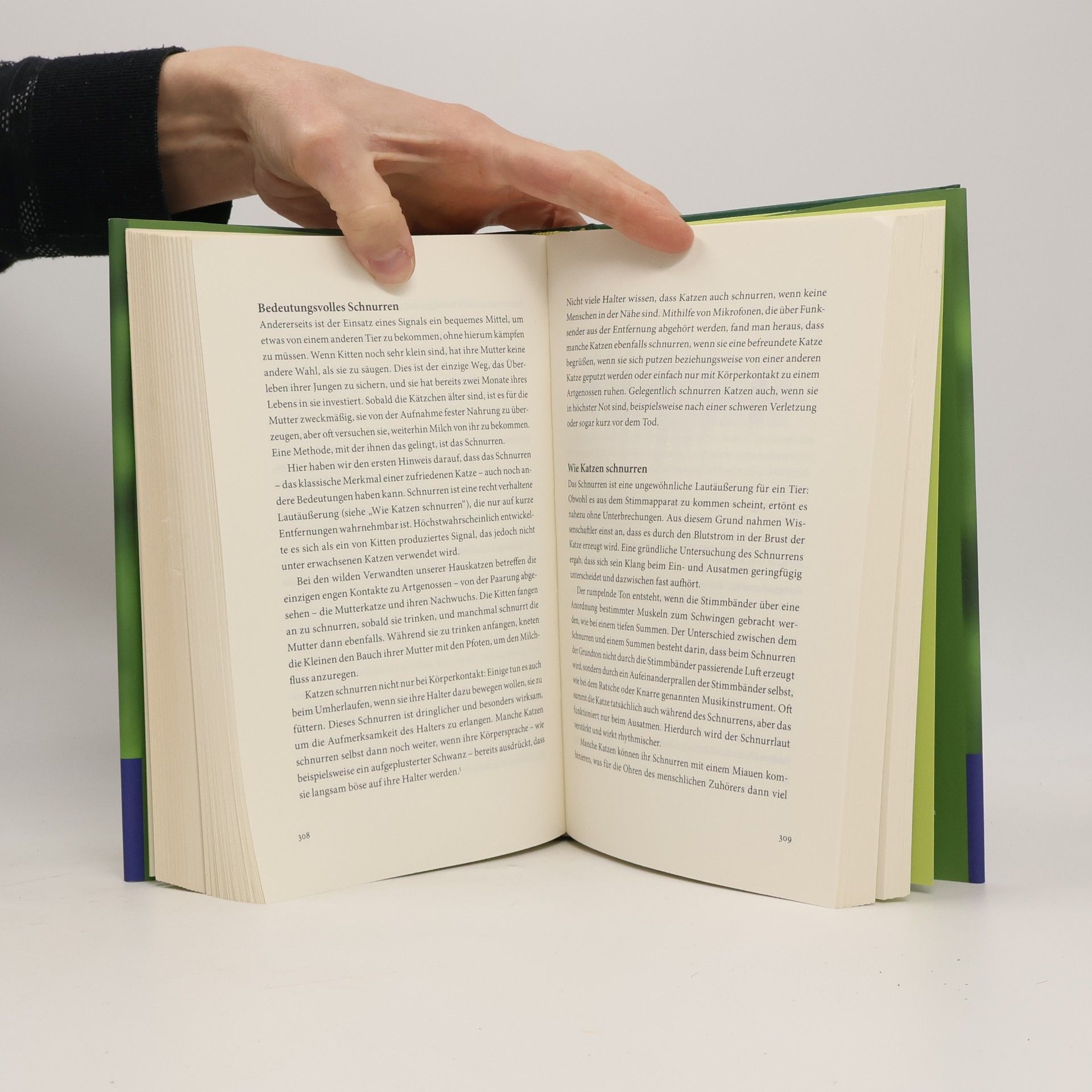 John Bradshaw Die Welt aus Katzensicht