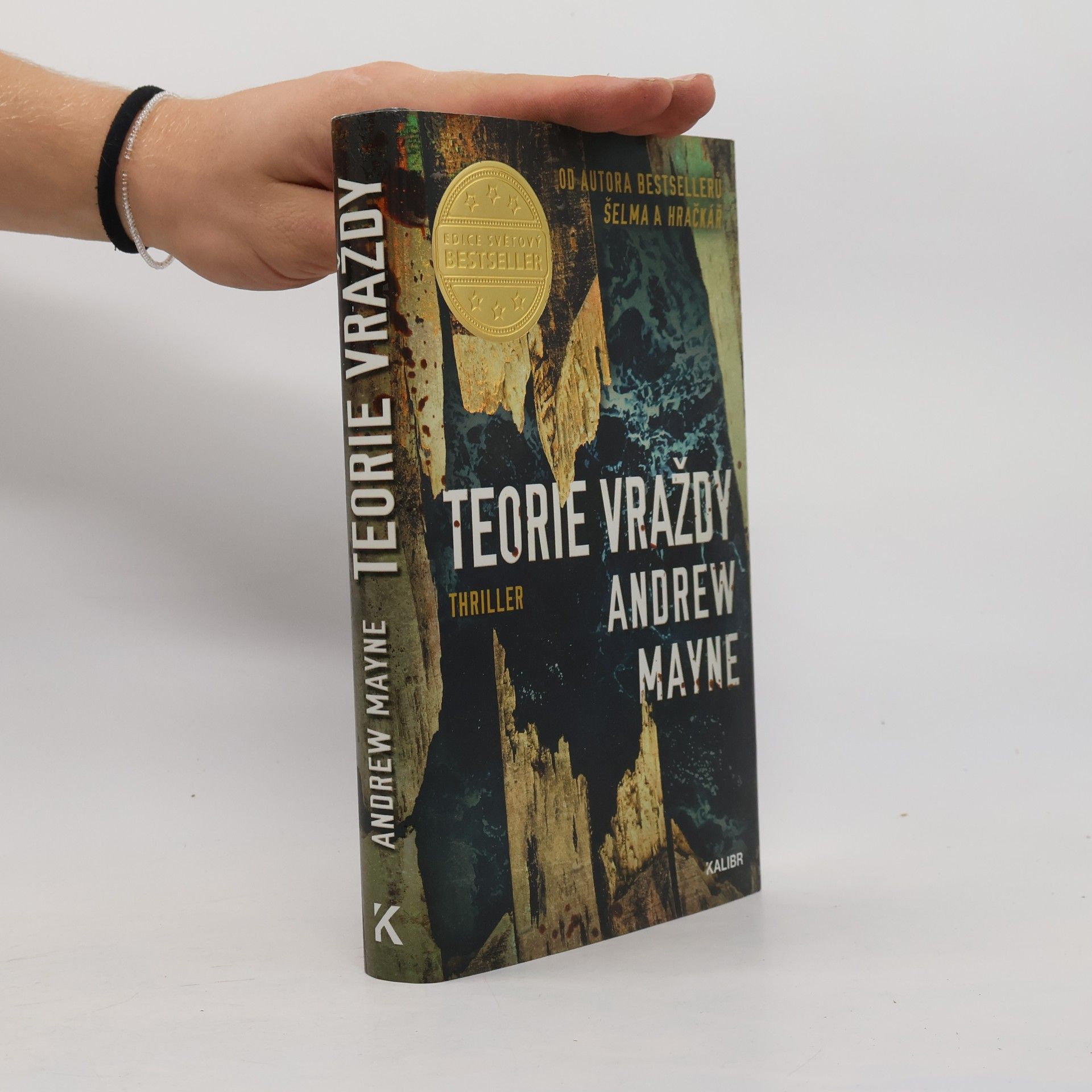 Andrew Mayne Teorie vraždy