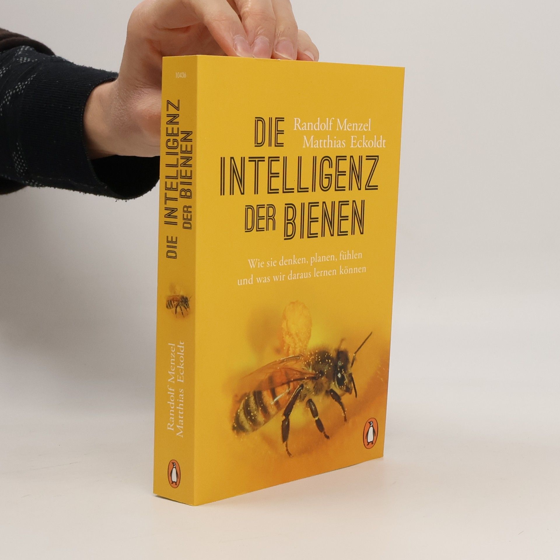 Die Intelligenz der Bienen