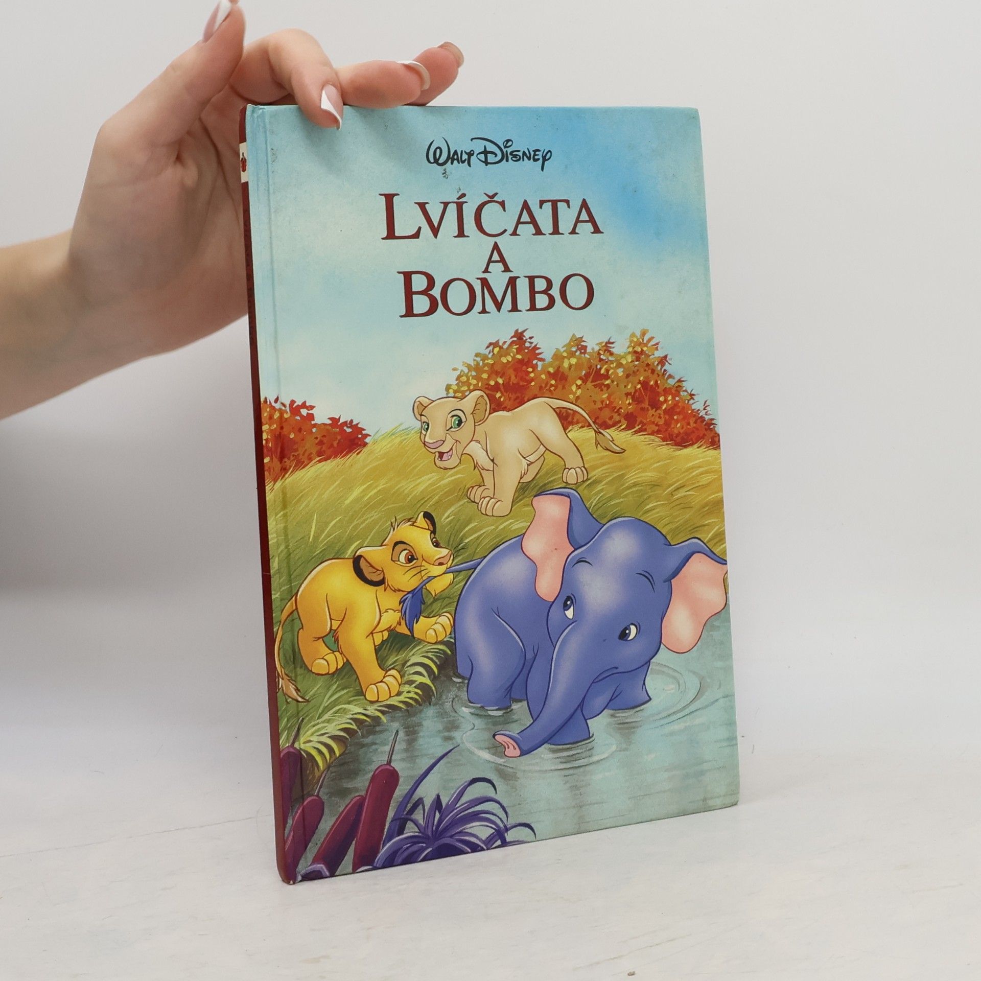 Lvíčata a Bombo