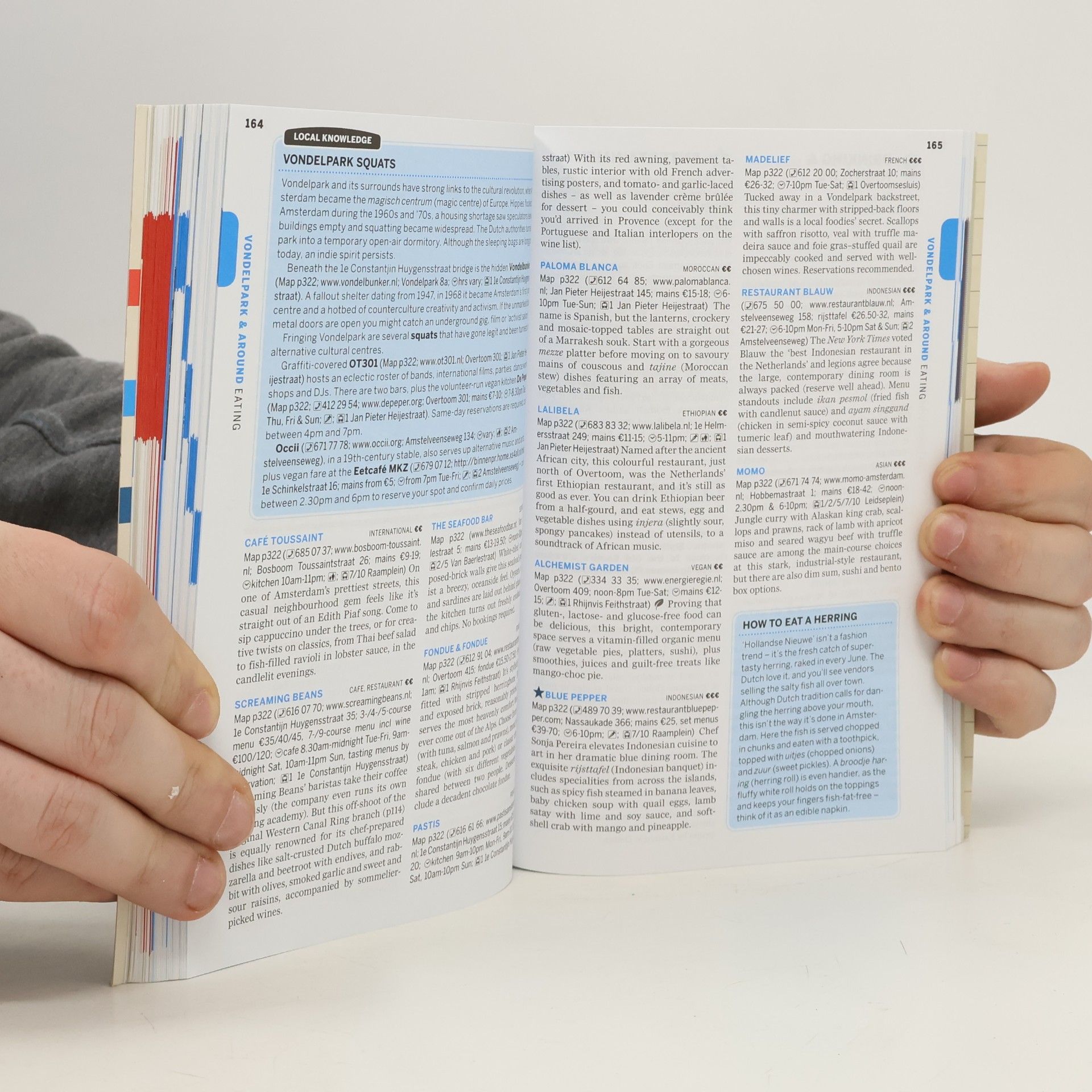 Karla Zimmerman Lonely Planet Amsterdam, English edition
