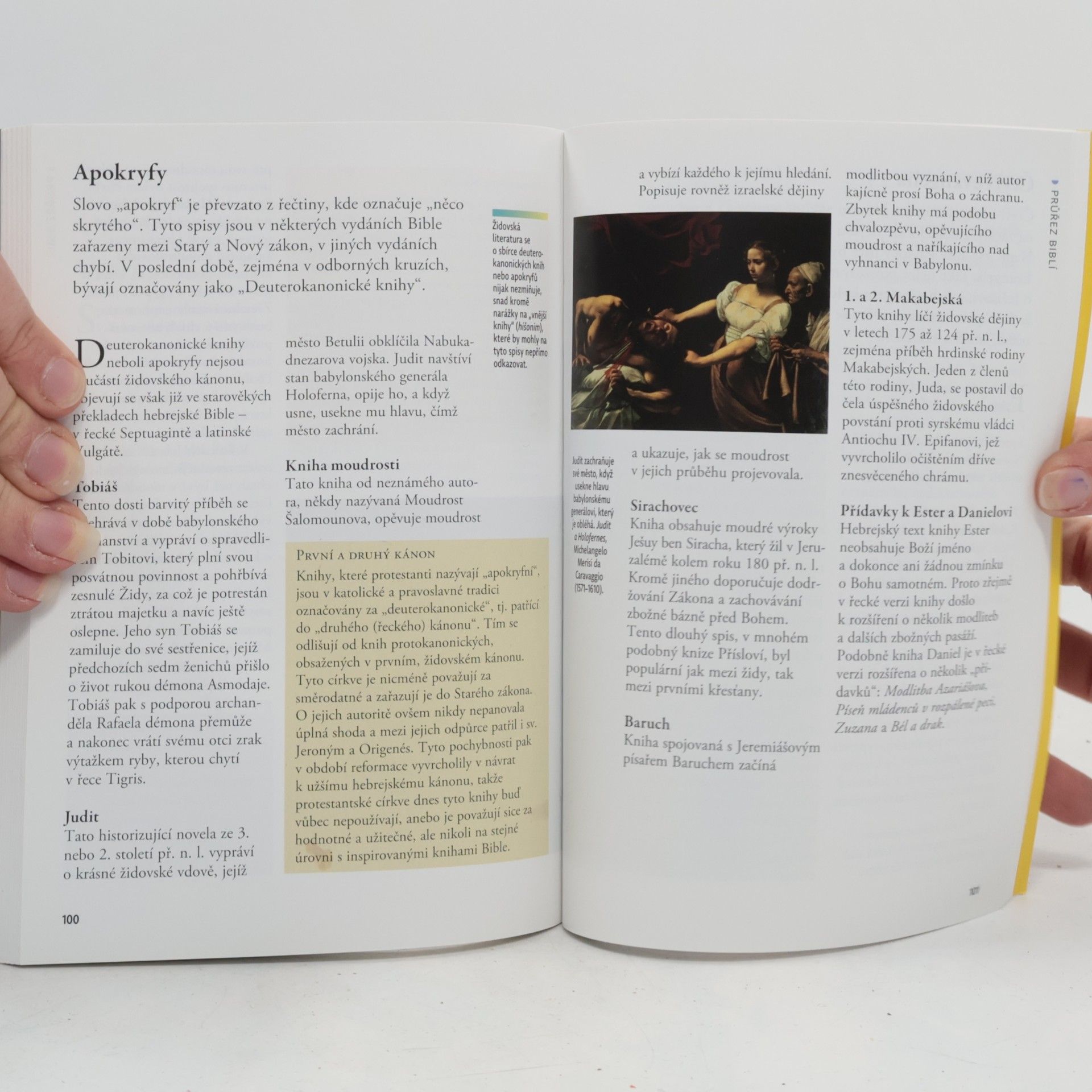 Michael Keene Bible. Kapesní průvodce